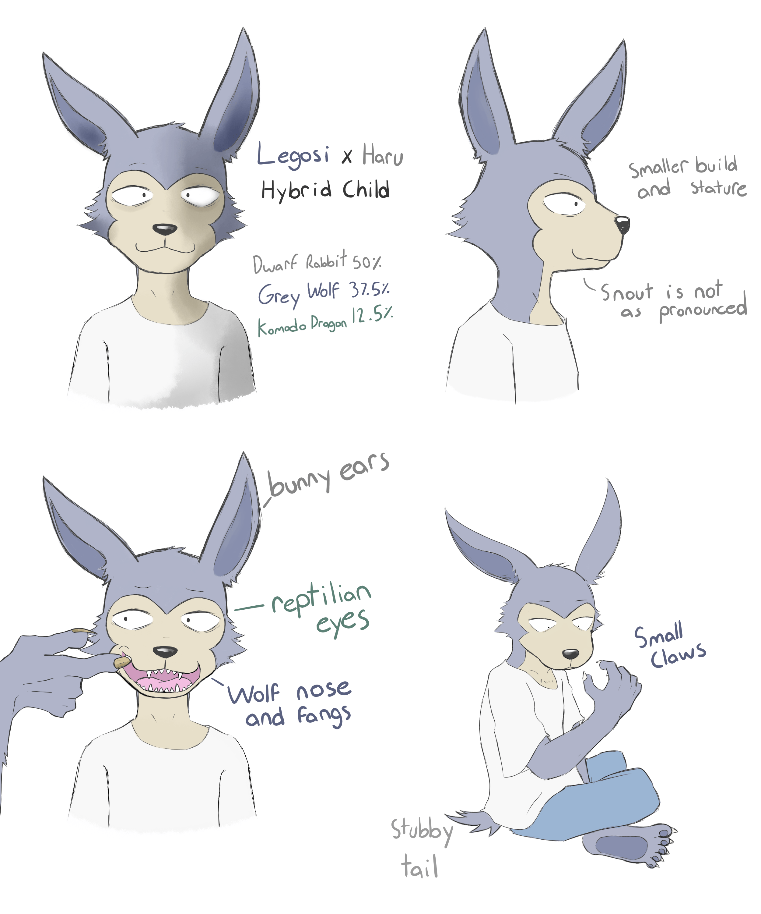 149 best r/beastars images on Pholder New BEASTARS Anime Visual