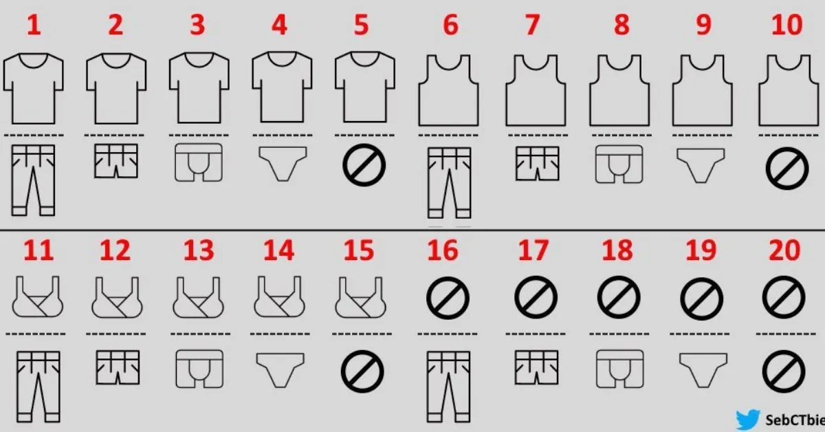 overview for elblanconino