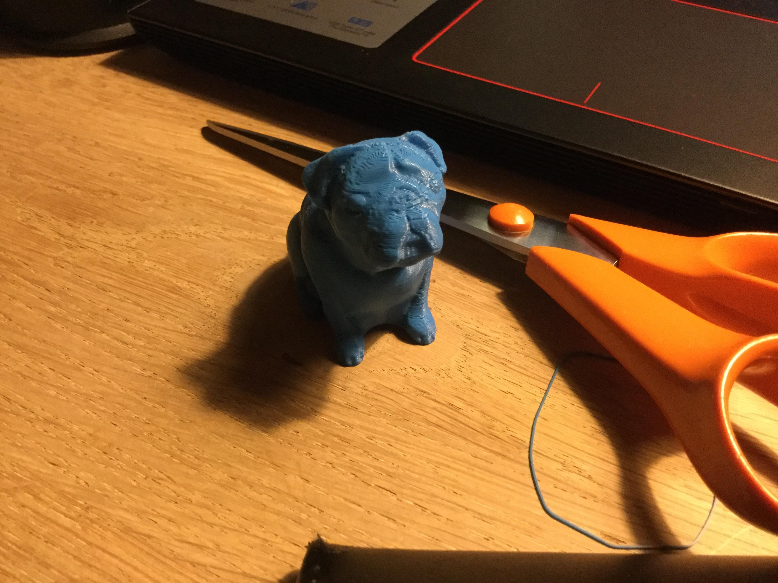 Can somebody help me with this dog? Its got really wierd under