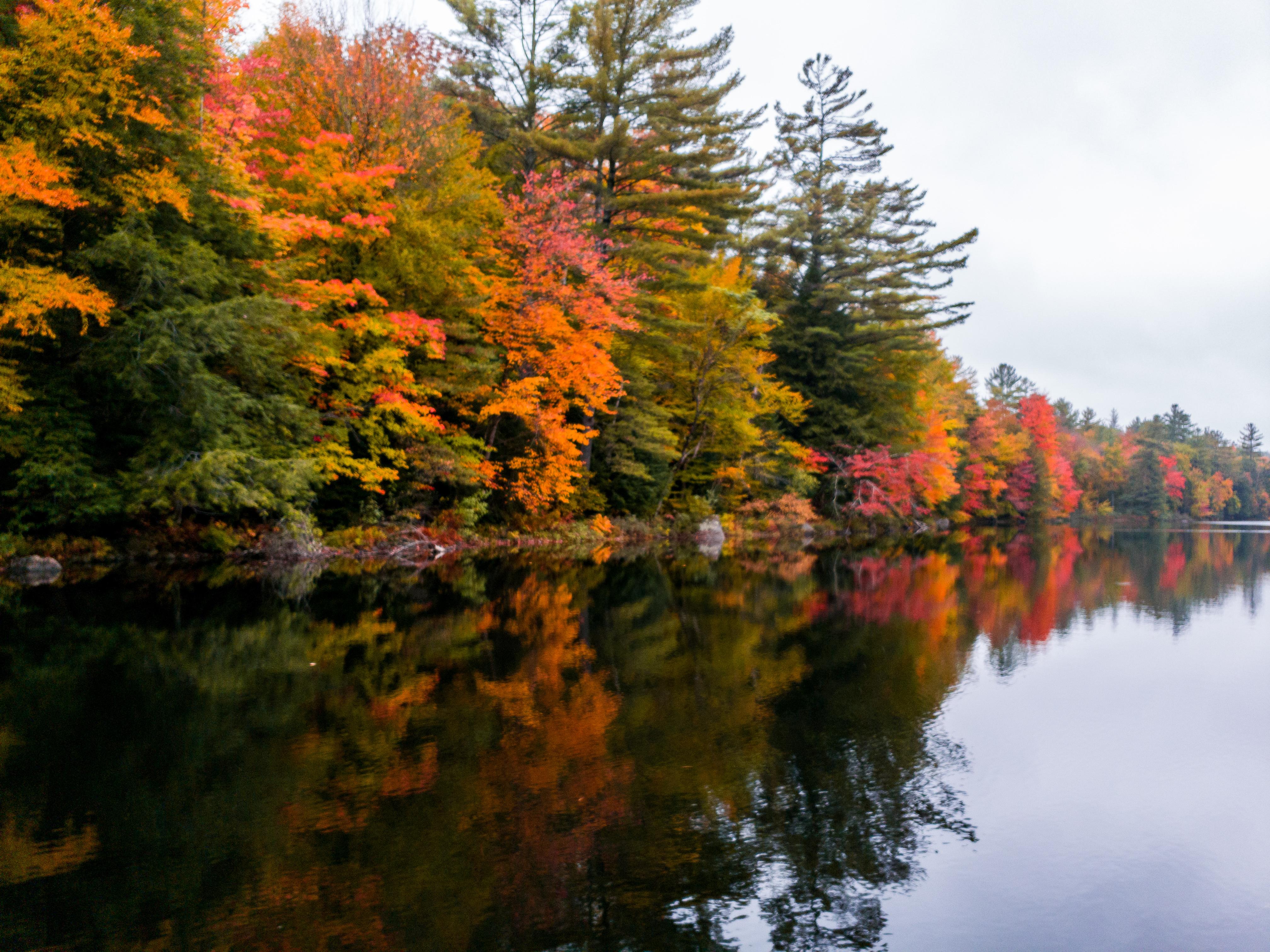 Fall Events Upstate Ny 2024 Fall in upstate New York [4032 x 3024] [OC] EarthPorn