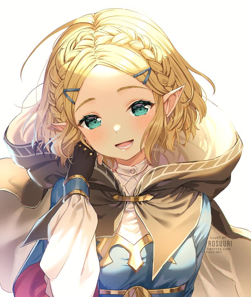 Short Hair Zelda [The Legend of Zelda] r/awwnime