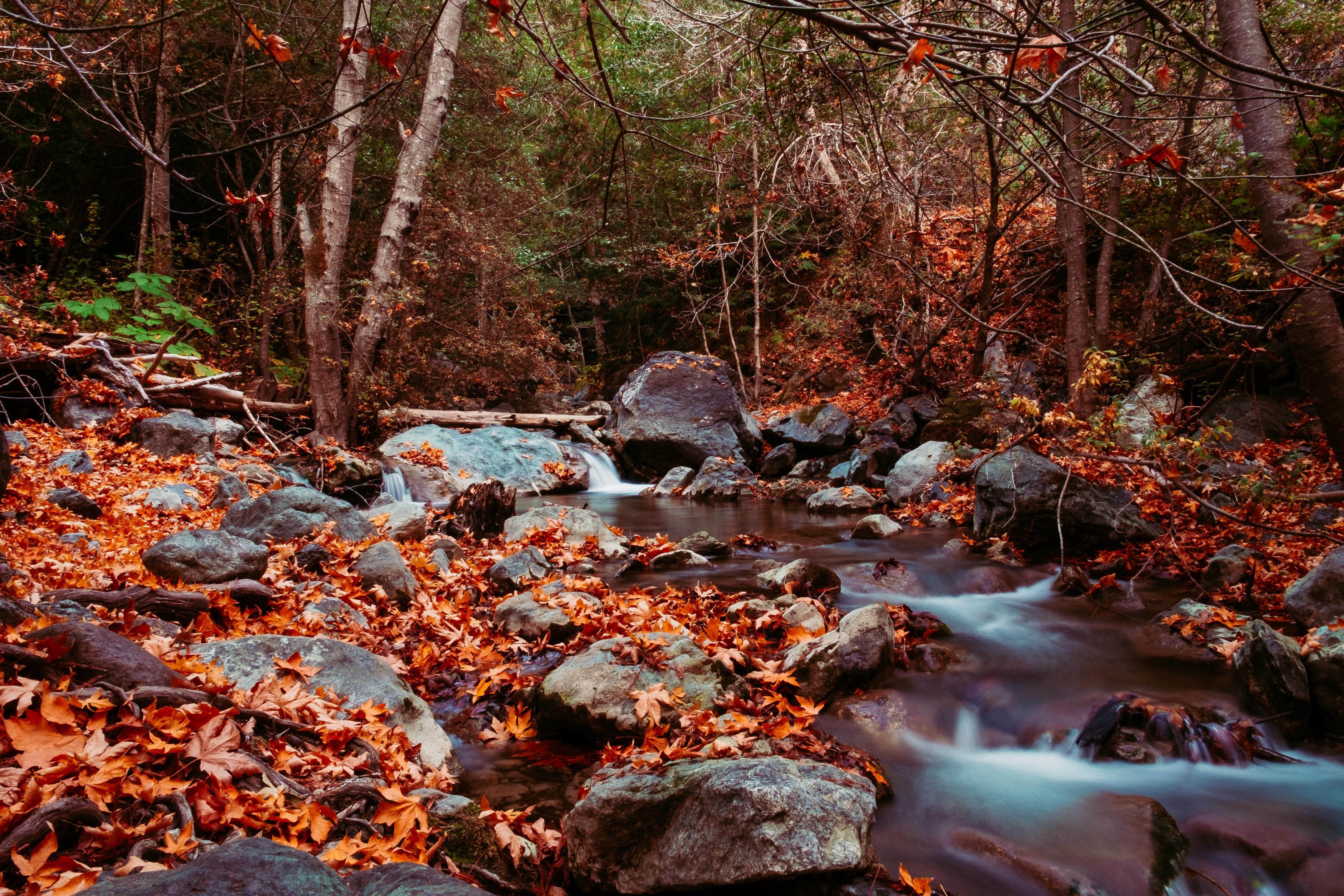 Beautiful creek I camped next to in Big Sur, California (LandelsHill