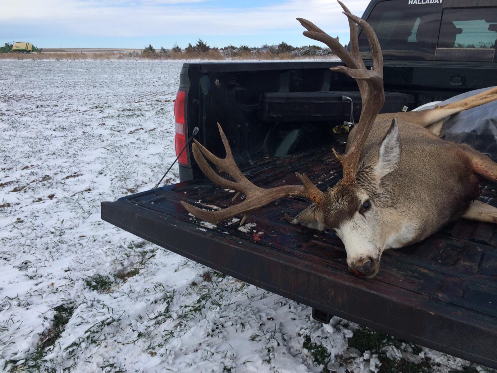 Mule Deer Nebraska r/Hunting