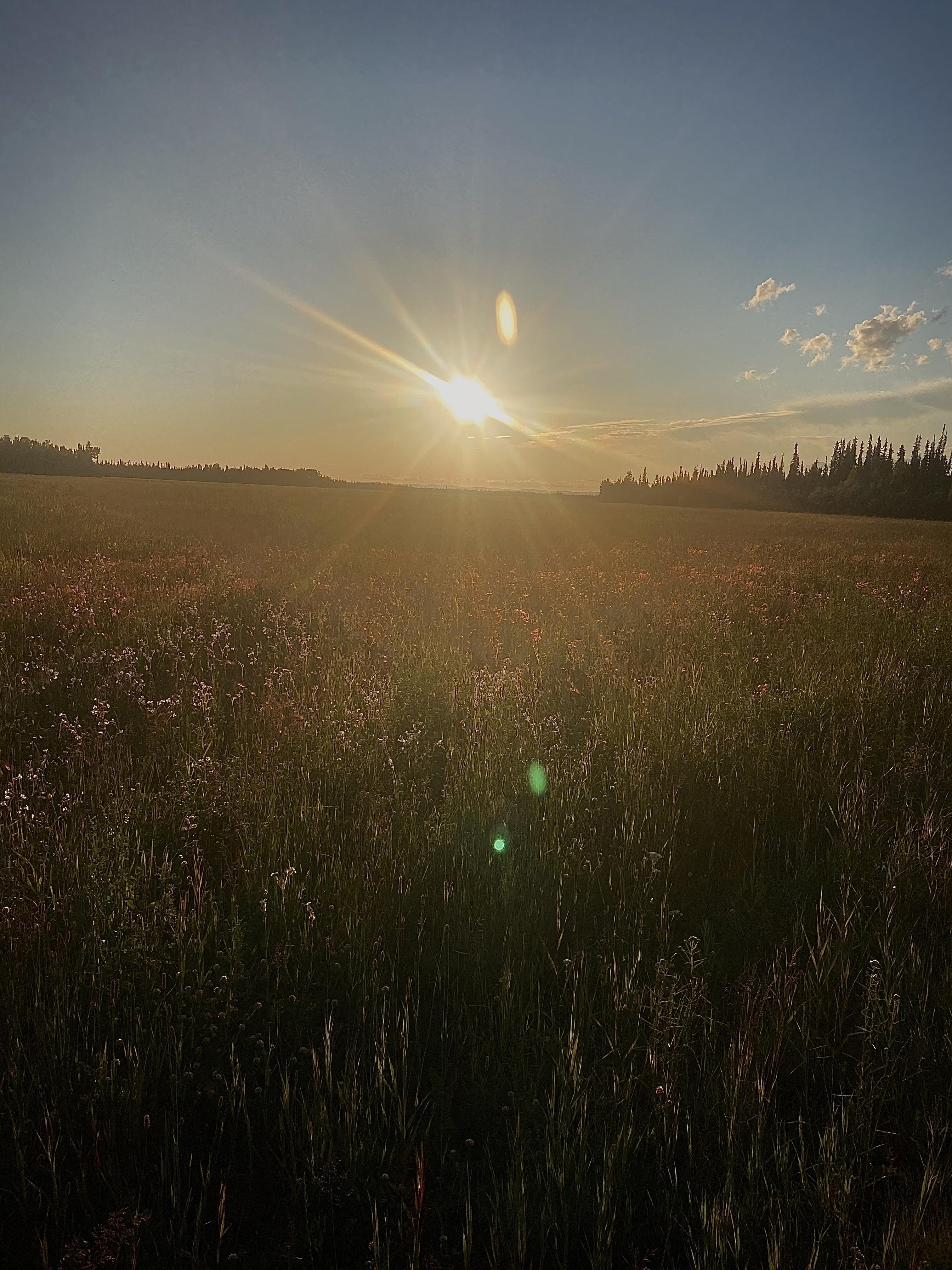Eielson Farm Road, Alaska r/alaska