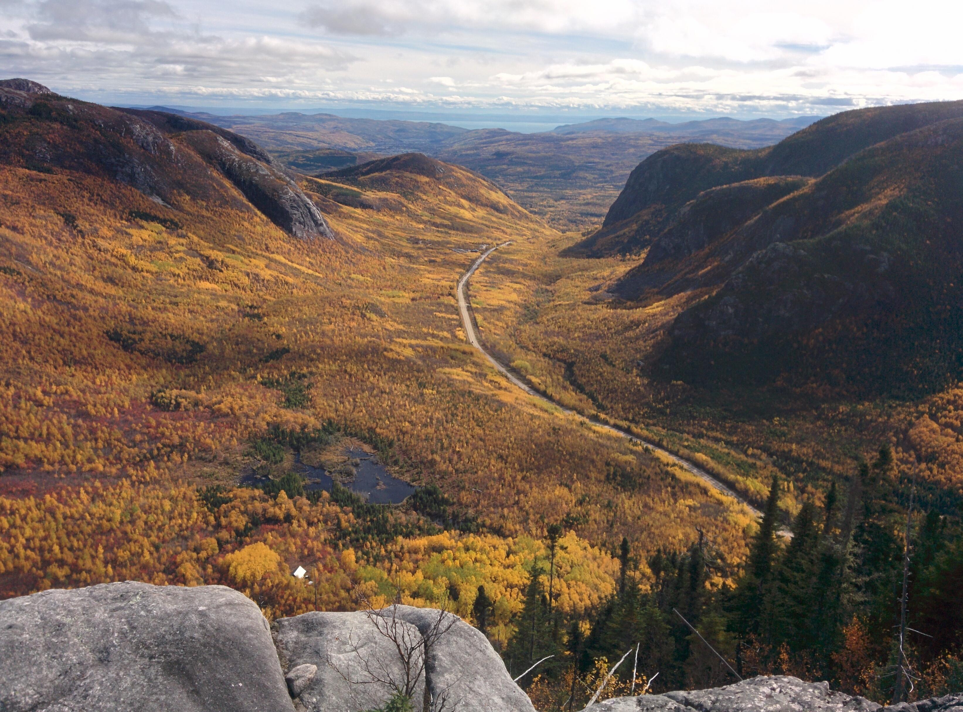 Yellow leaves everywhere Charlevoix, Québec, Canada r/hiking