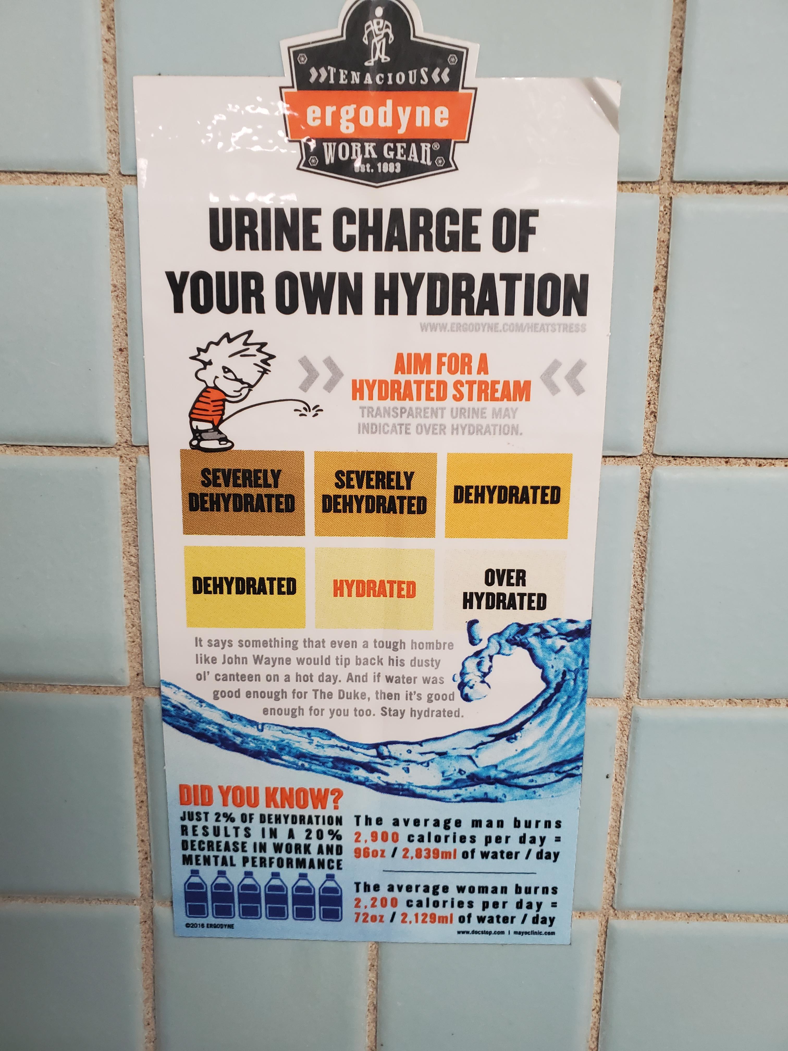 47 Hilarious Bathroom Puns Punstoppable 🛑