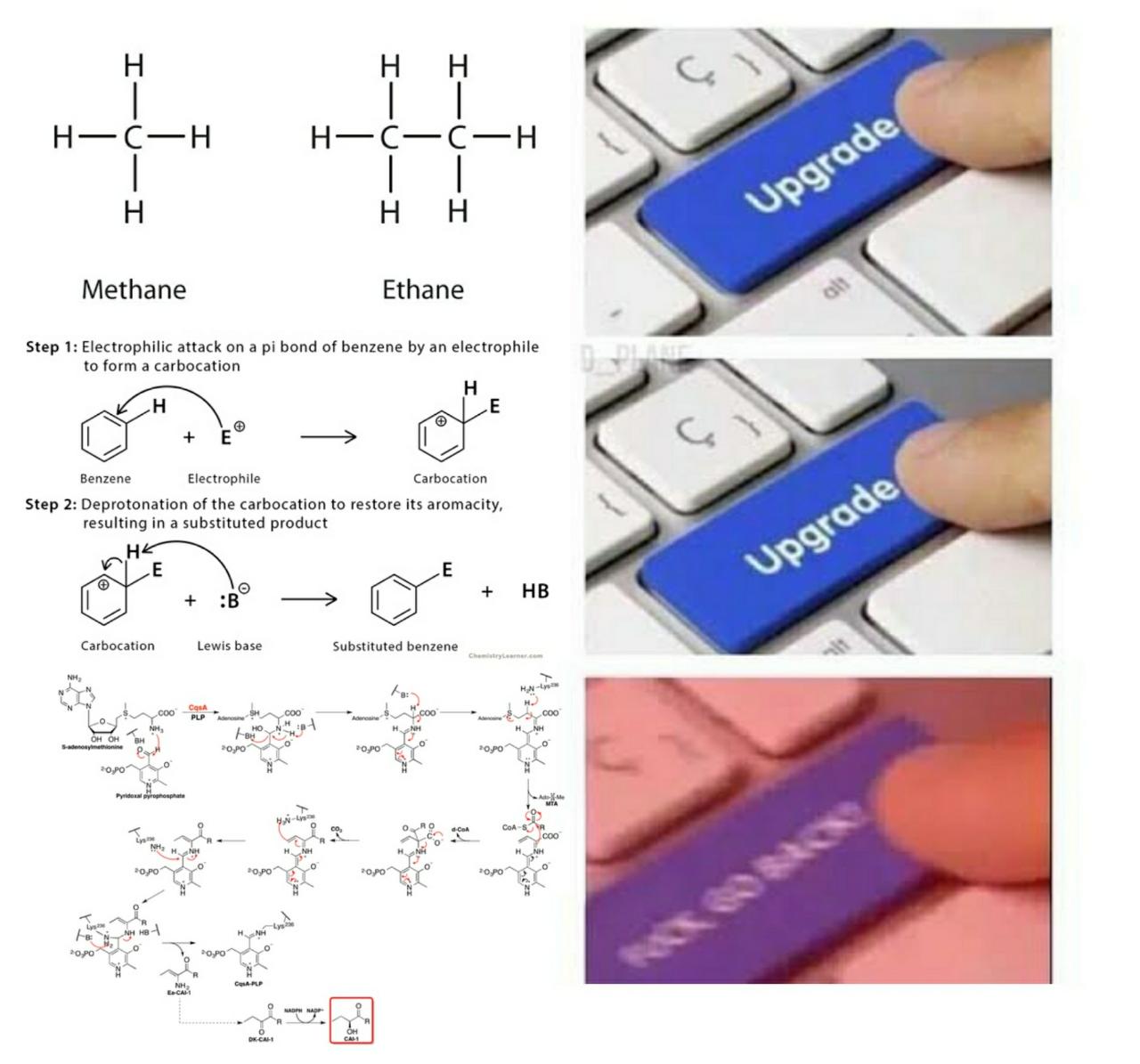 Organic Chemistry be like... r/chemistrymemes