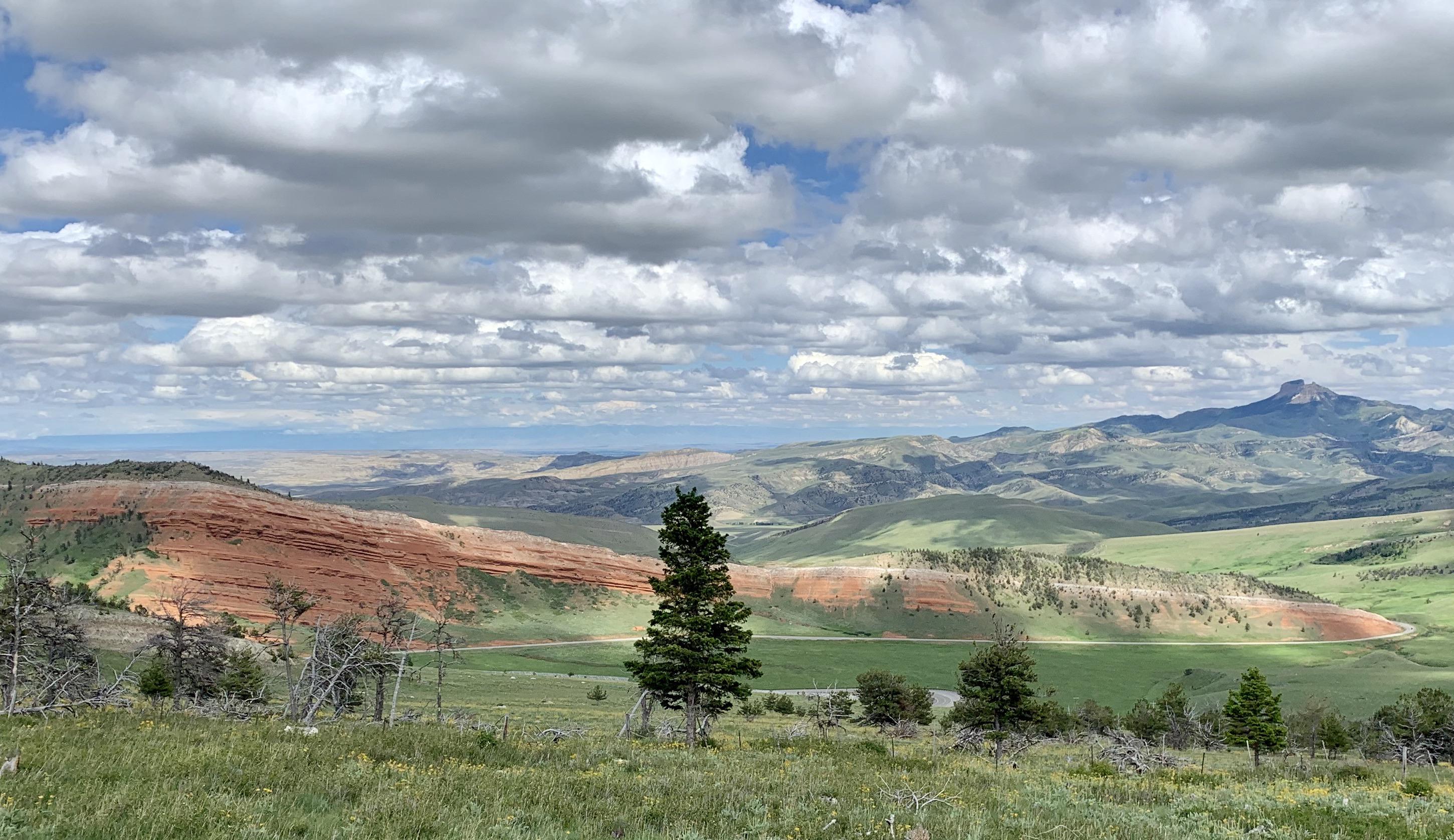 Chugwater Formation (Triassic sandstone) along state route 296 in