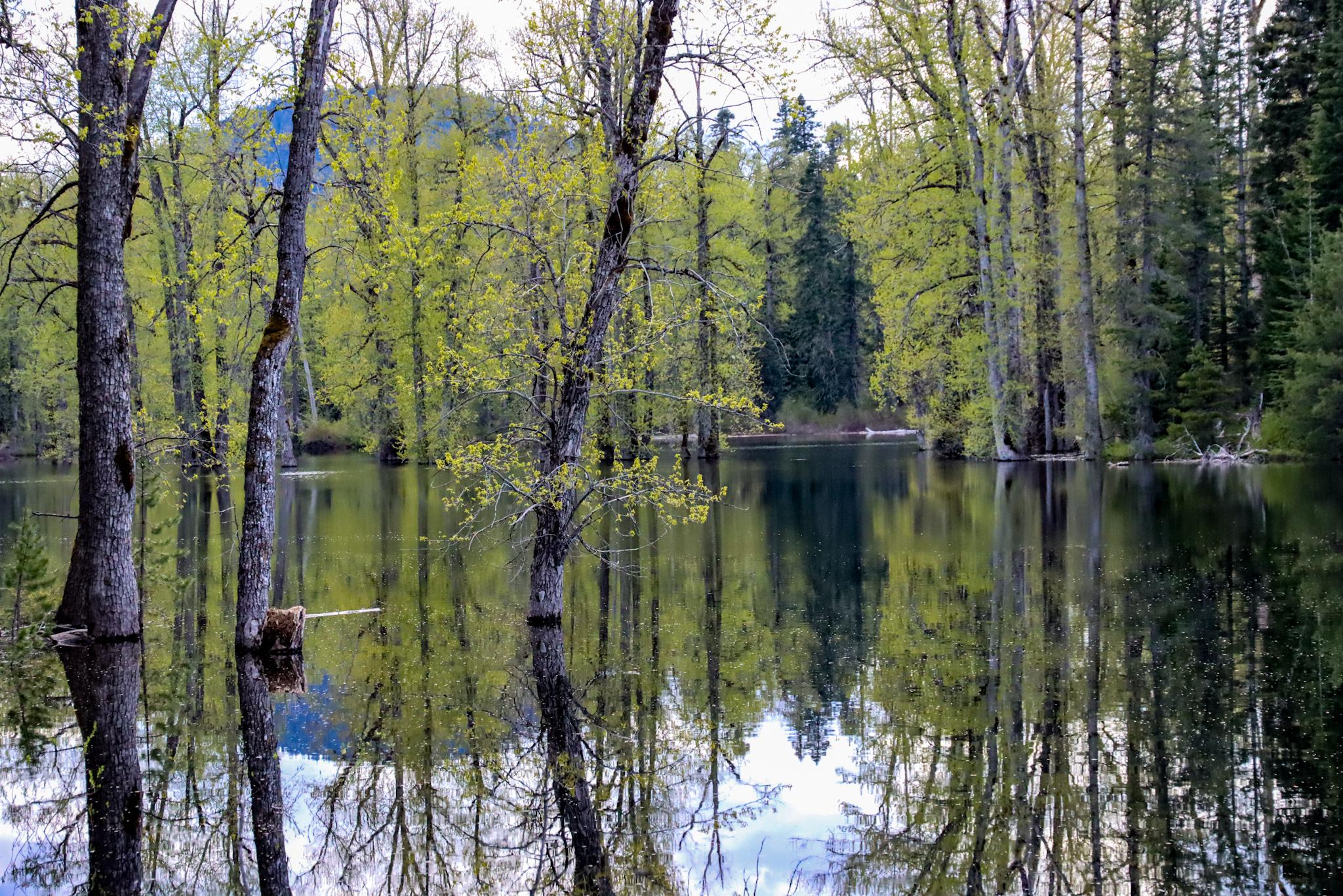 South prairie lake, more details in comments [OC] r/pics