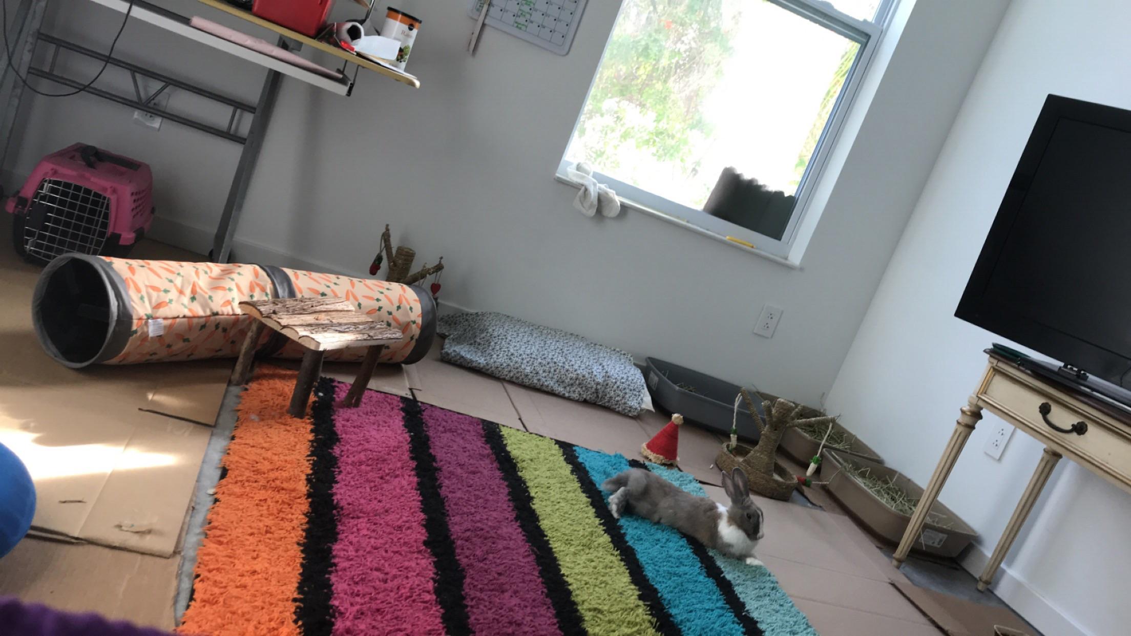 23 best images on Pholder Rabbits, Publix and Hiking