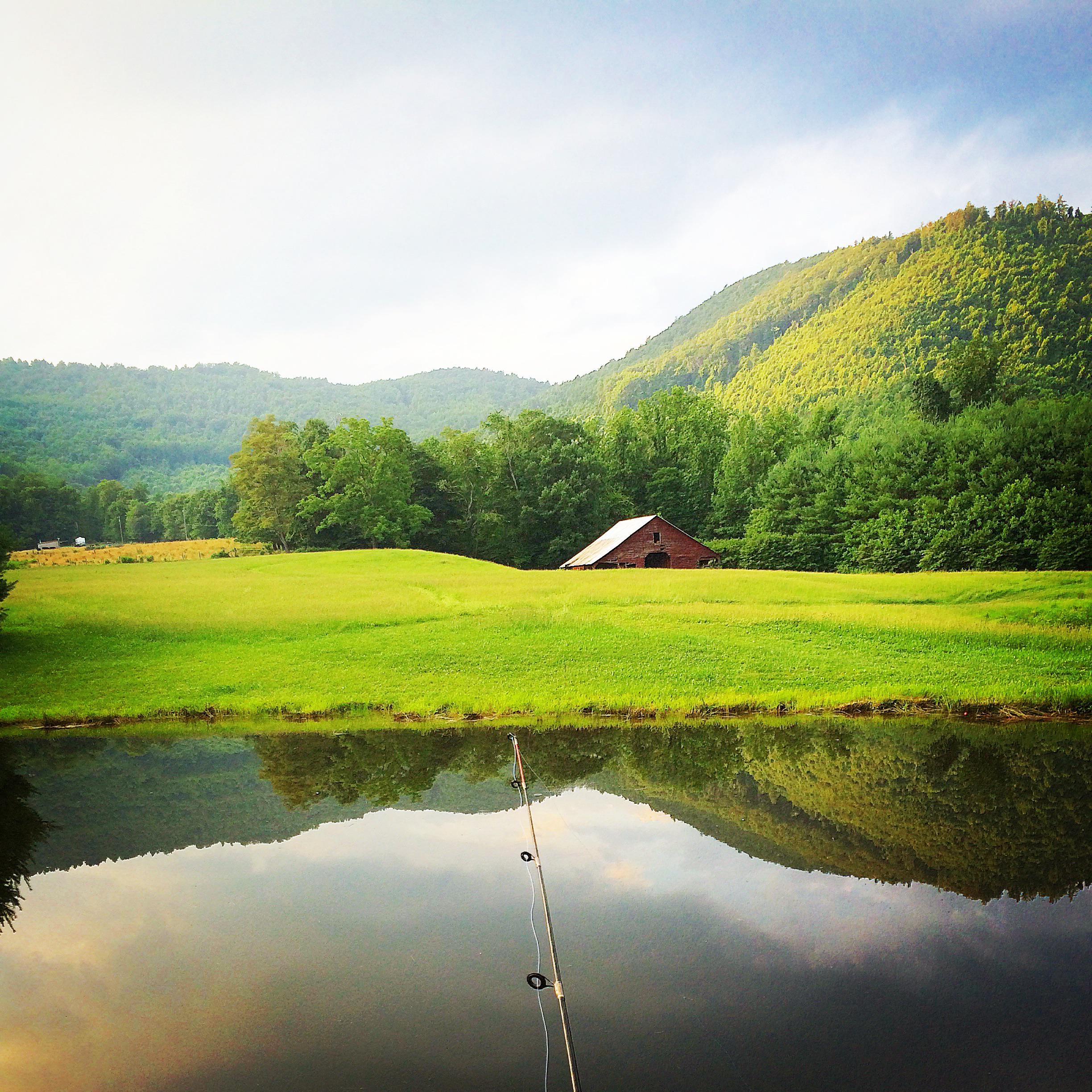Our hunting land in western North Carolina r/homestead