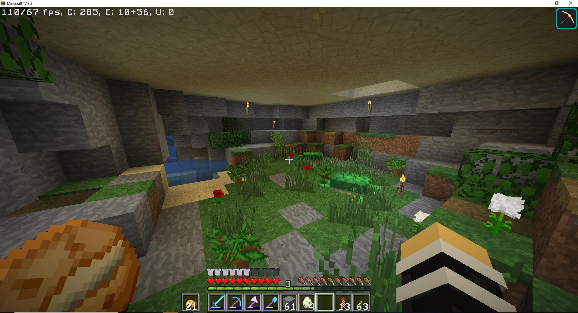 Me and my friend made a turtle sanctuary, suggestions