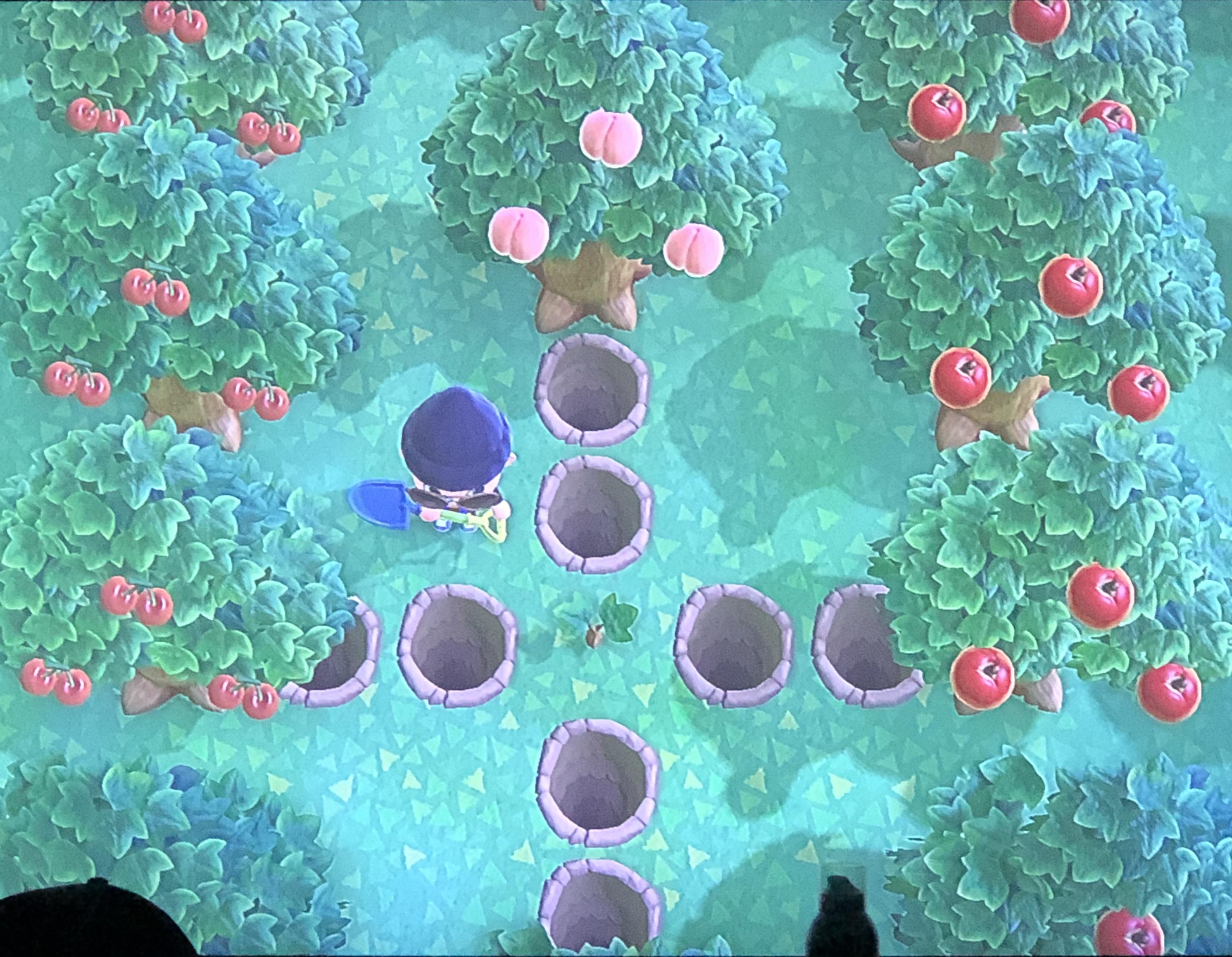 i am so mad that this single tree won’t grow. (more in description) r