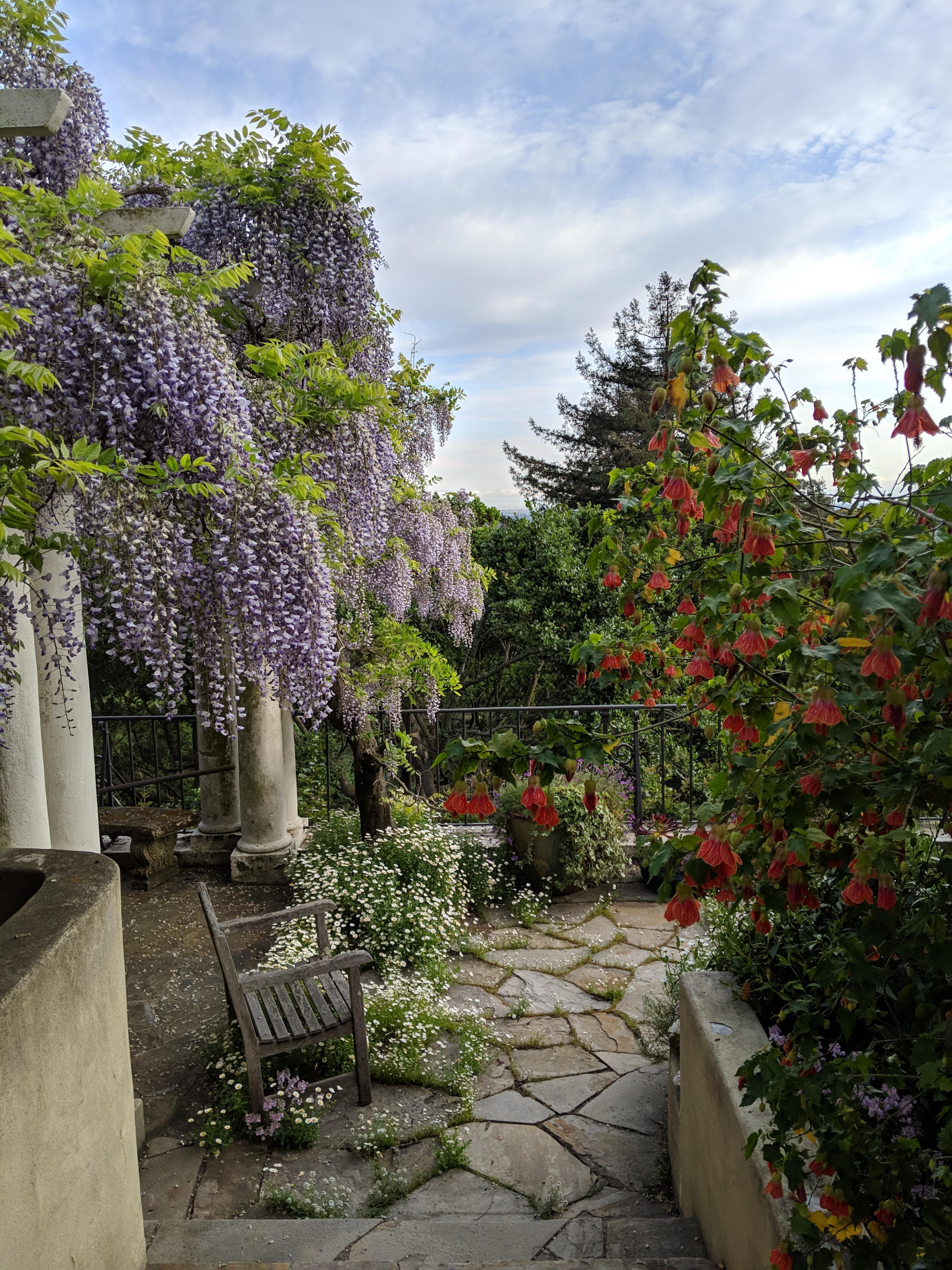 Visited my mom's epic garden over the weekend and it was exploding with