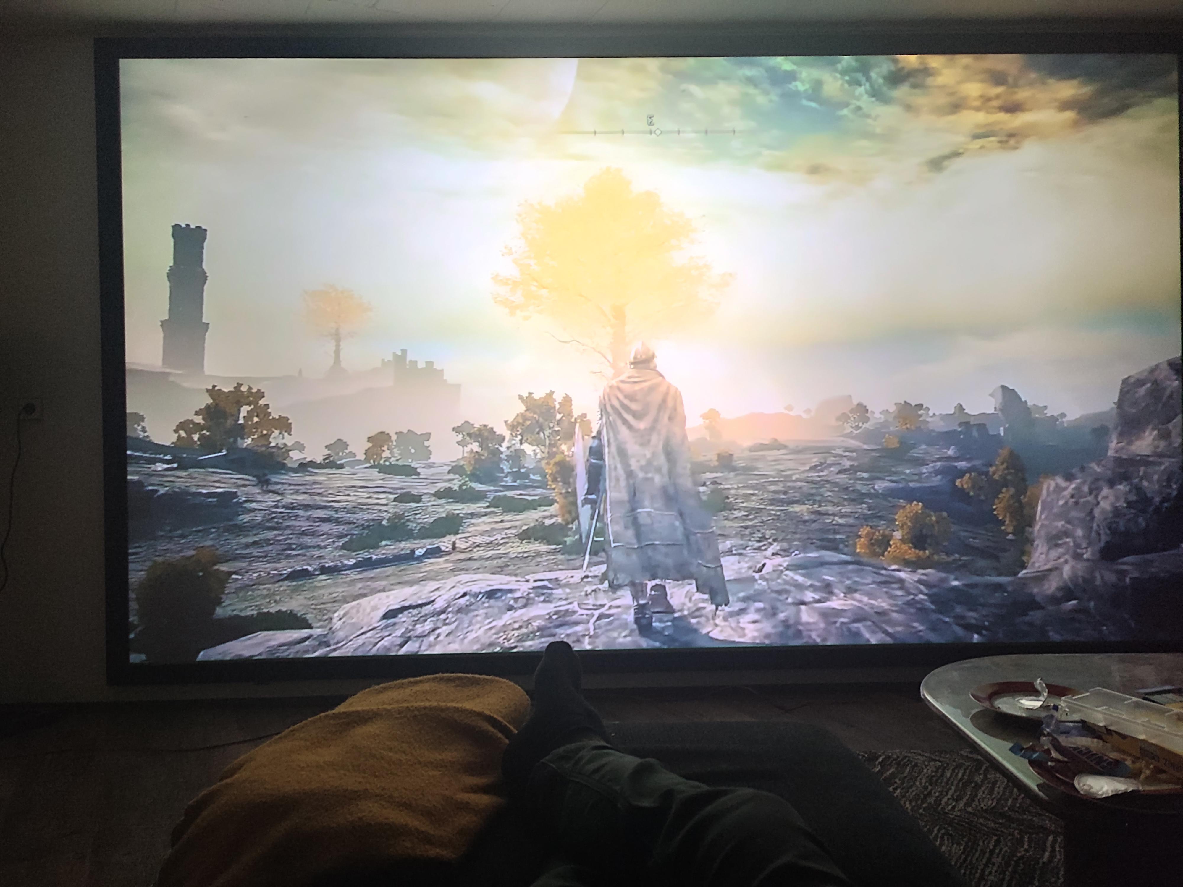 Playing Elden Ring on my 165 inch screen (at least imagining it) r