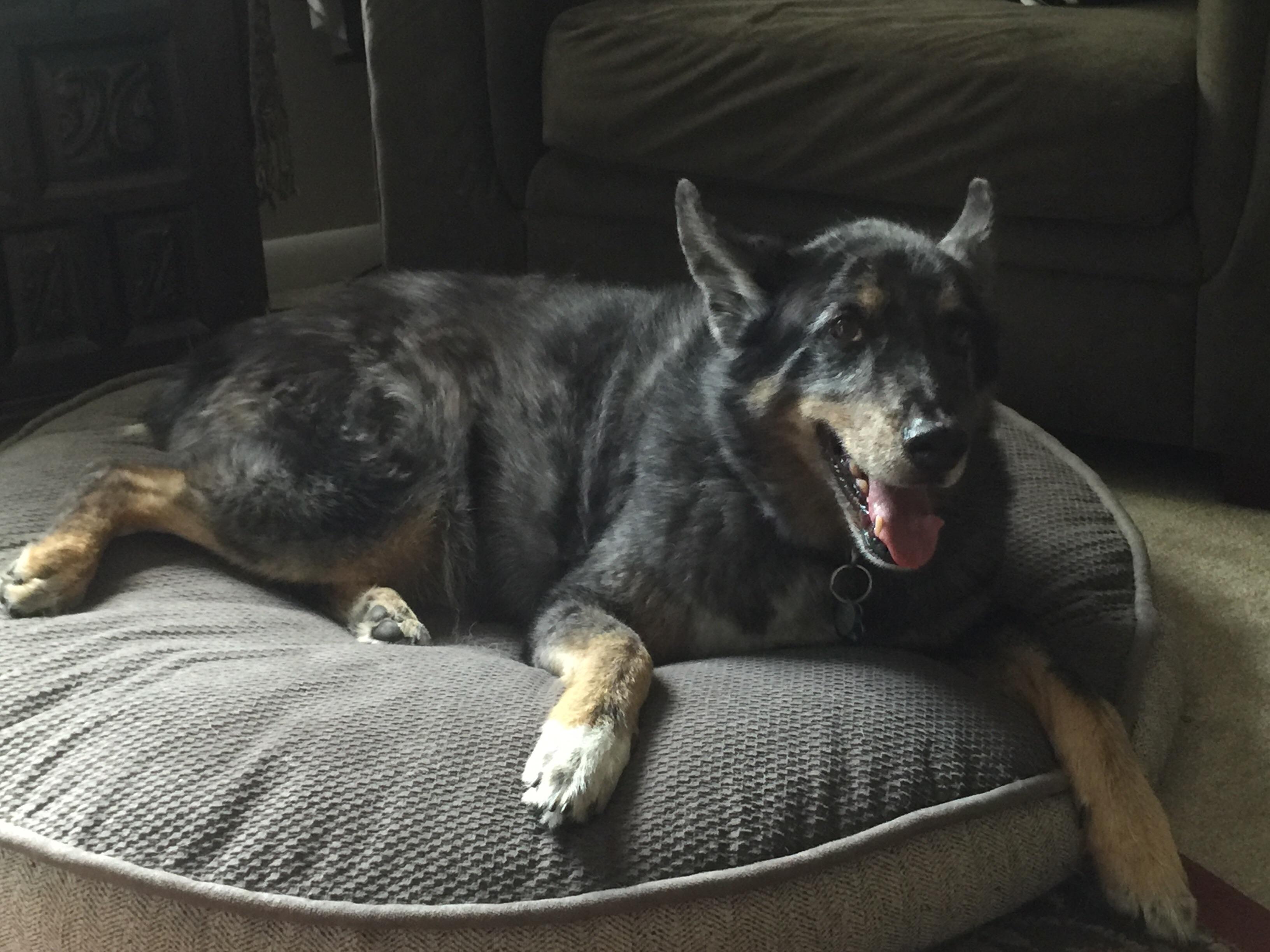 Airplane ears r/airplaneears