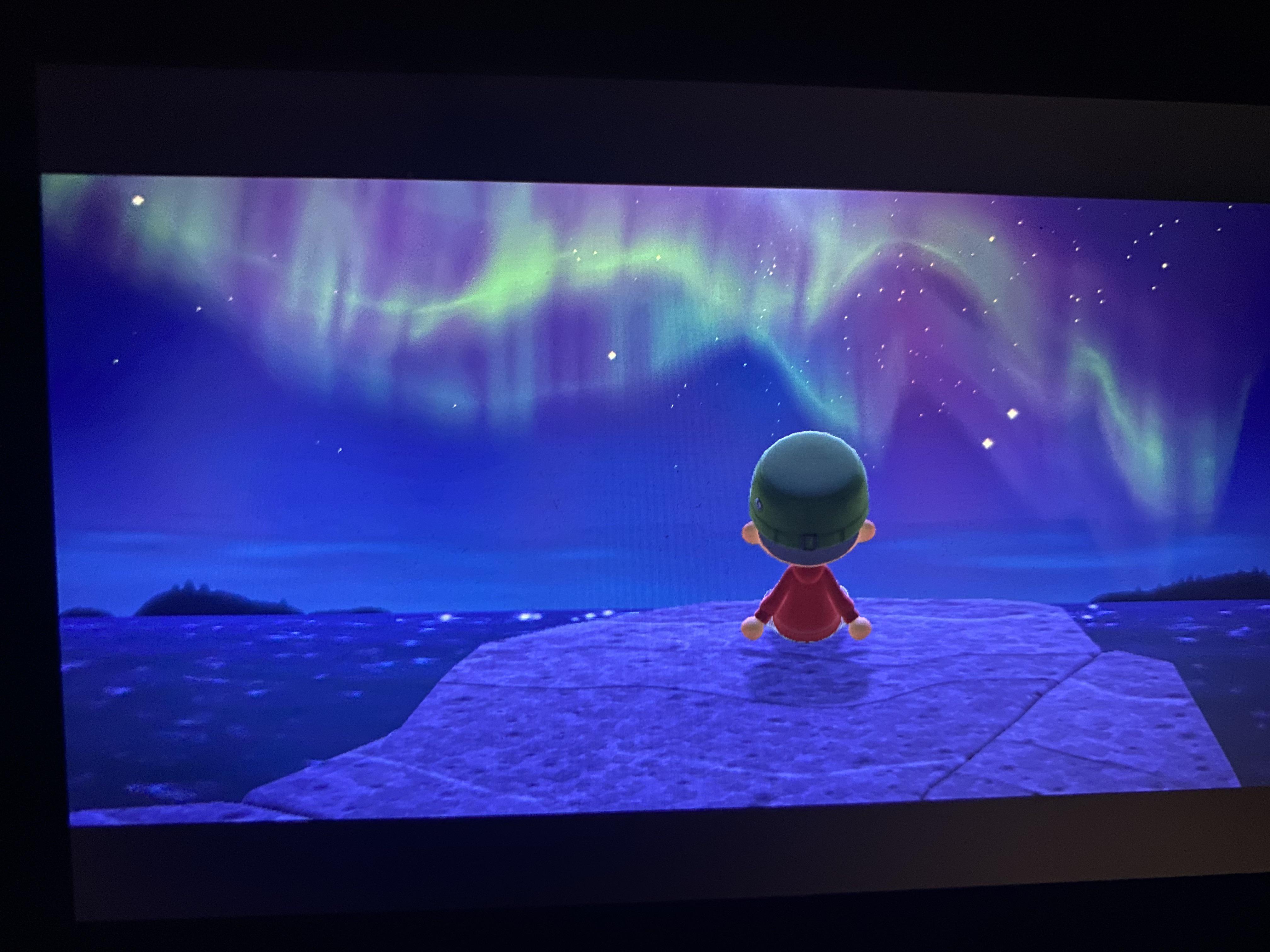 I really want to thank the Animal Crossing franchise for making a game