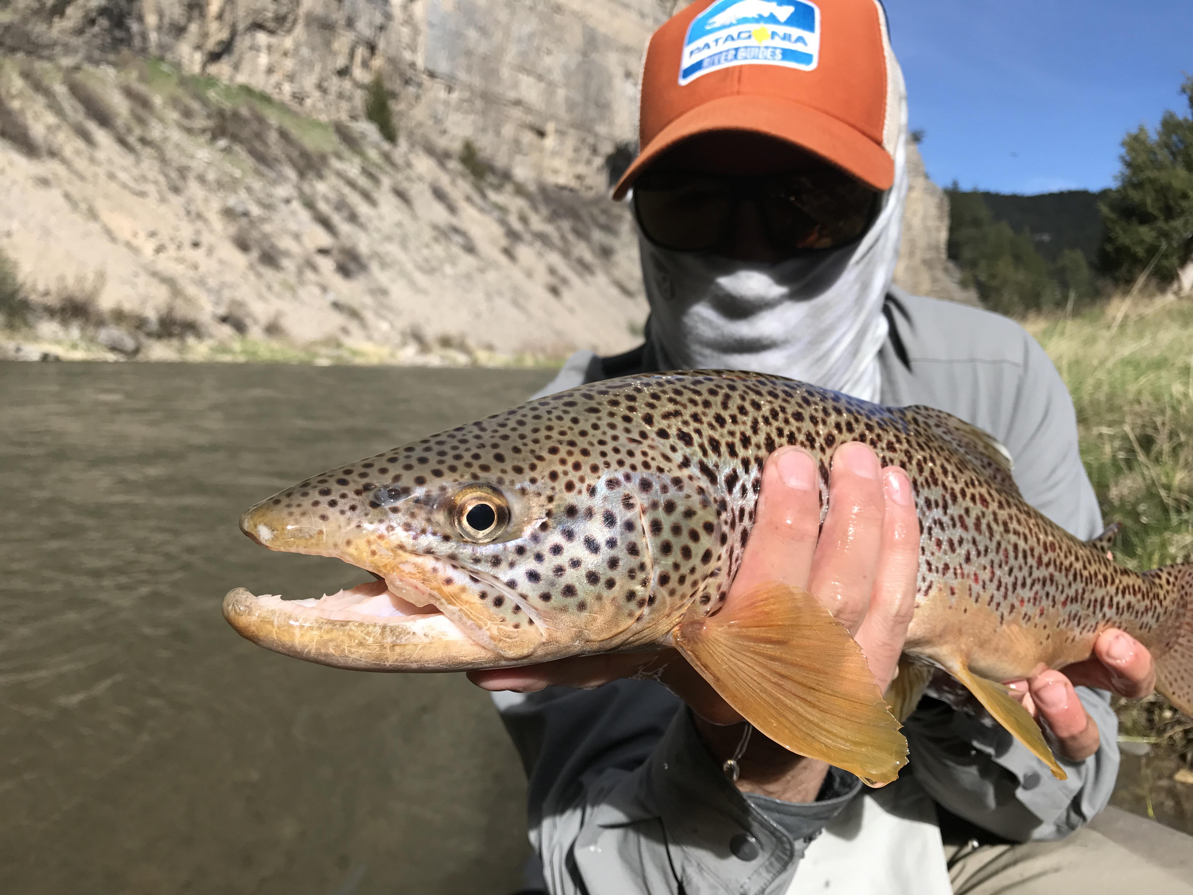 day on The Smith River, MT r/flyfishing