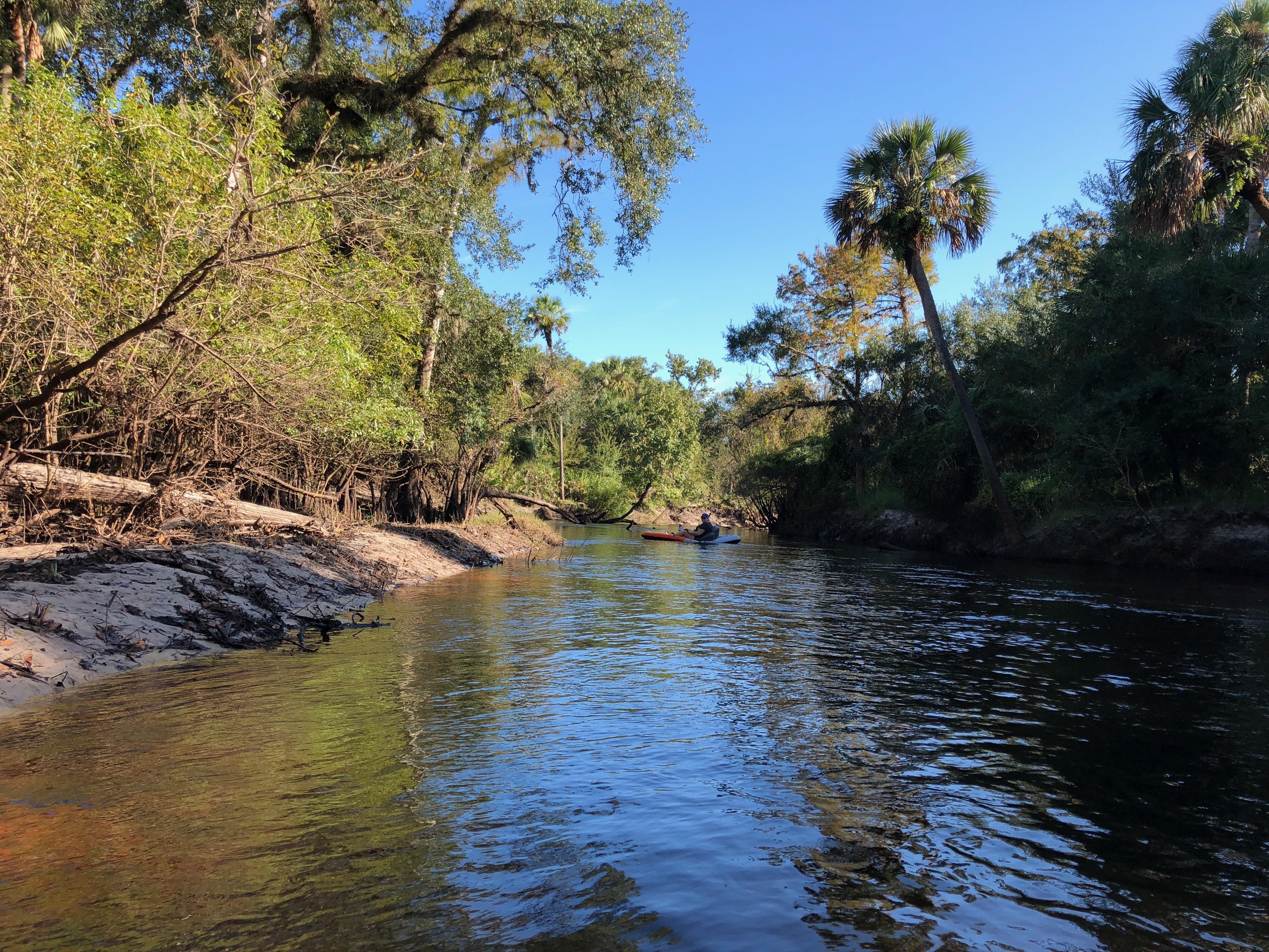 Econlockhatchee River, Central Florida r/Kayaking
