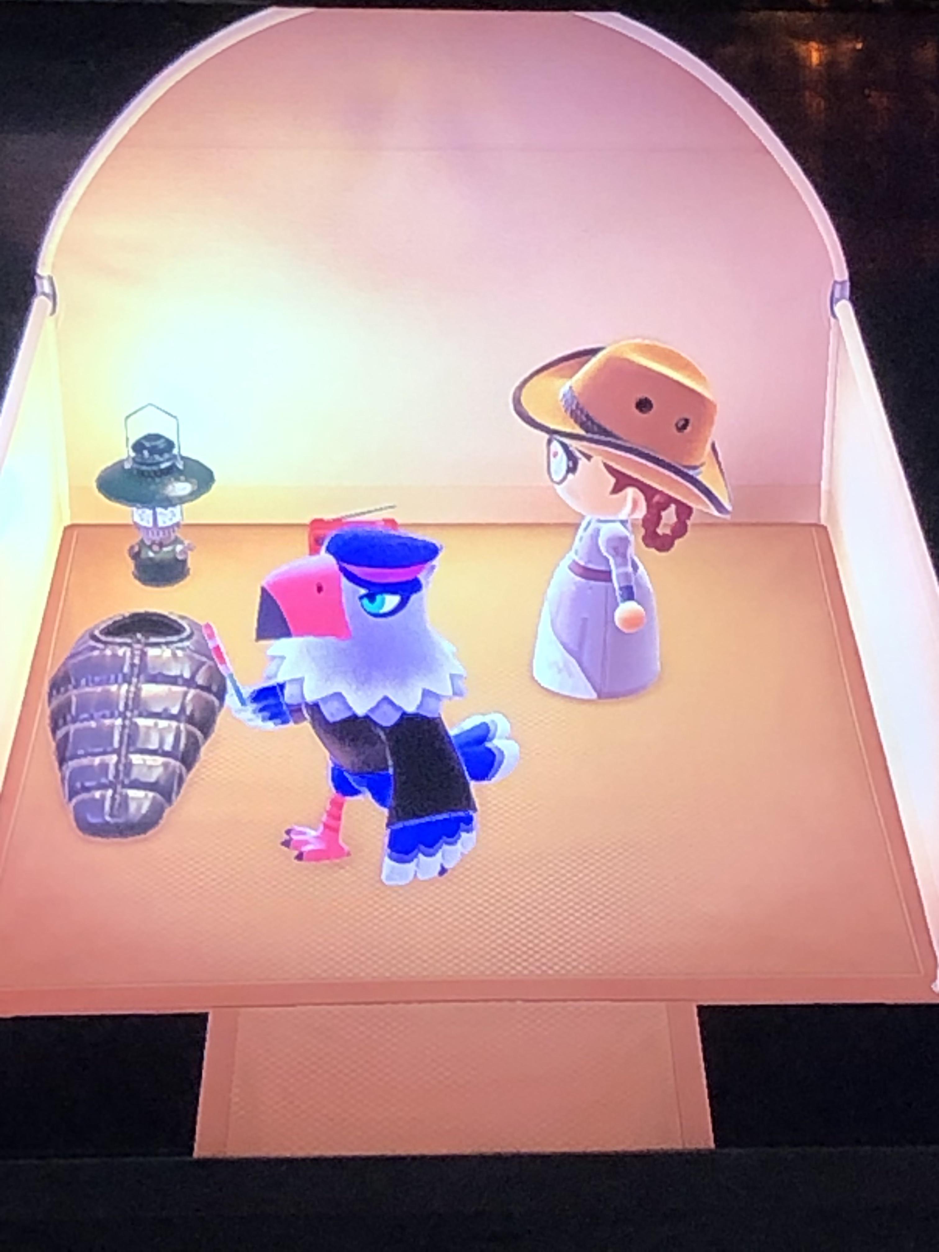 Got the best sisterly villager tbh! AnimalCrossing