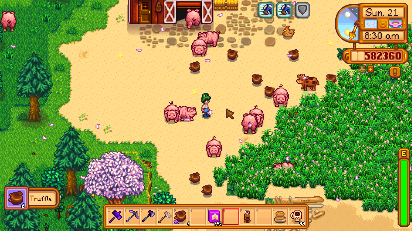 TRUFFLES !! StardewValley