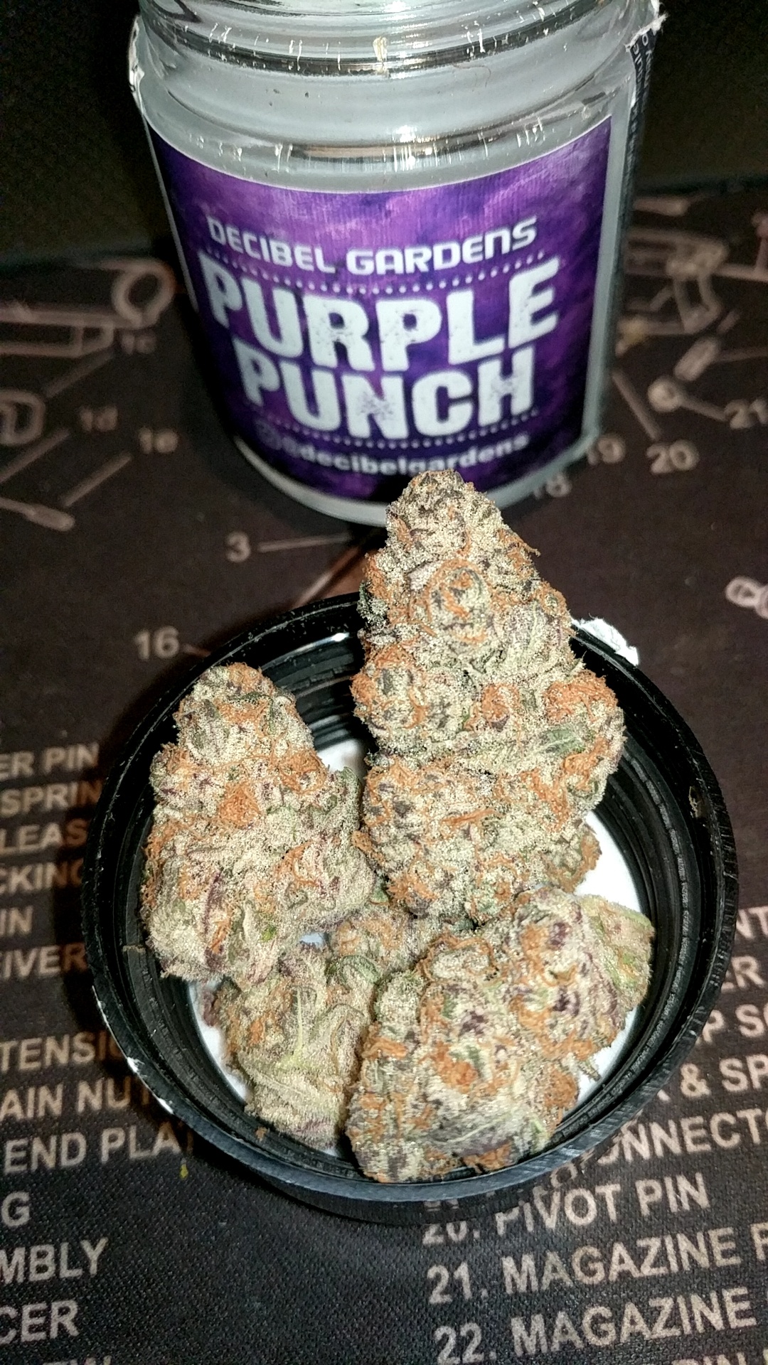 Everything Decibel Gardens puts out is some of the best stuff I've ever