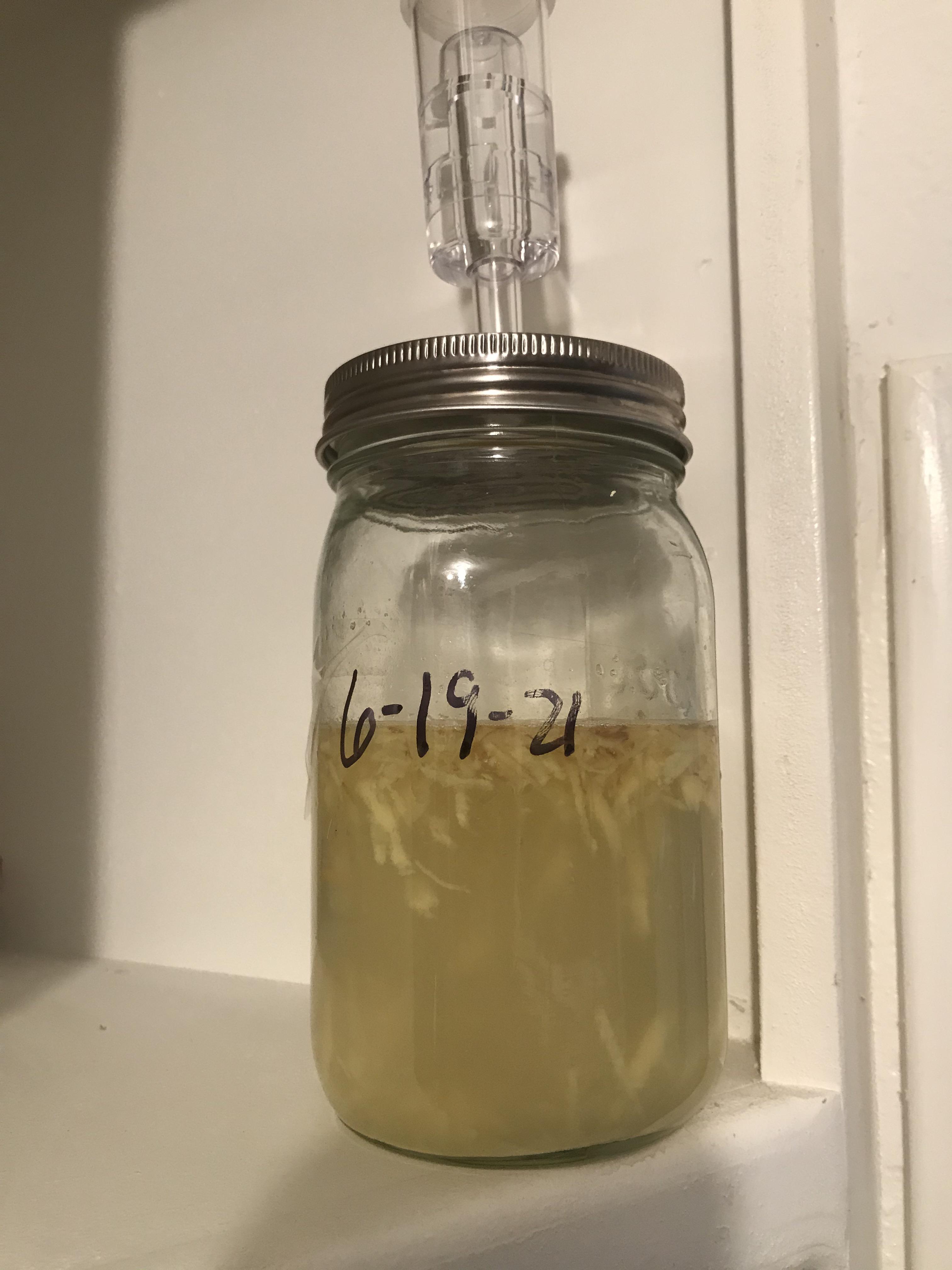 Airlock fermentation lid with ginger bug r/fermentation