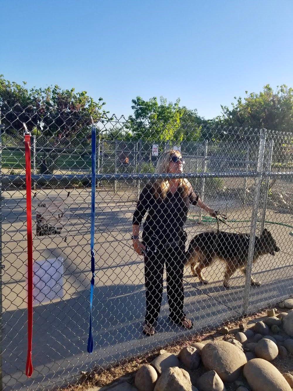 Crazy City Employee Starts Fight at Bear Dog Park r/Roseville