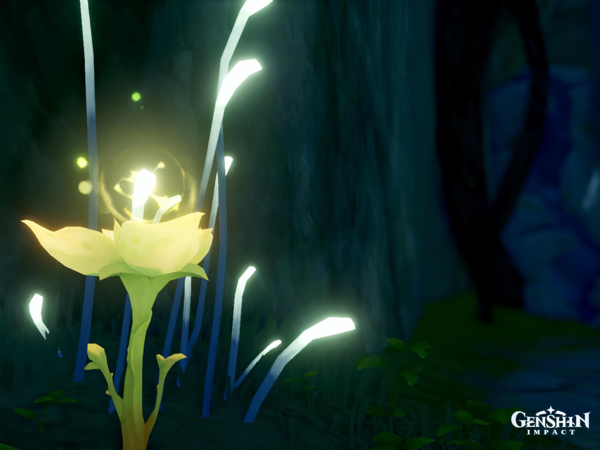 Light that blooms in the darkness : r/Genshin_Photography