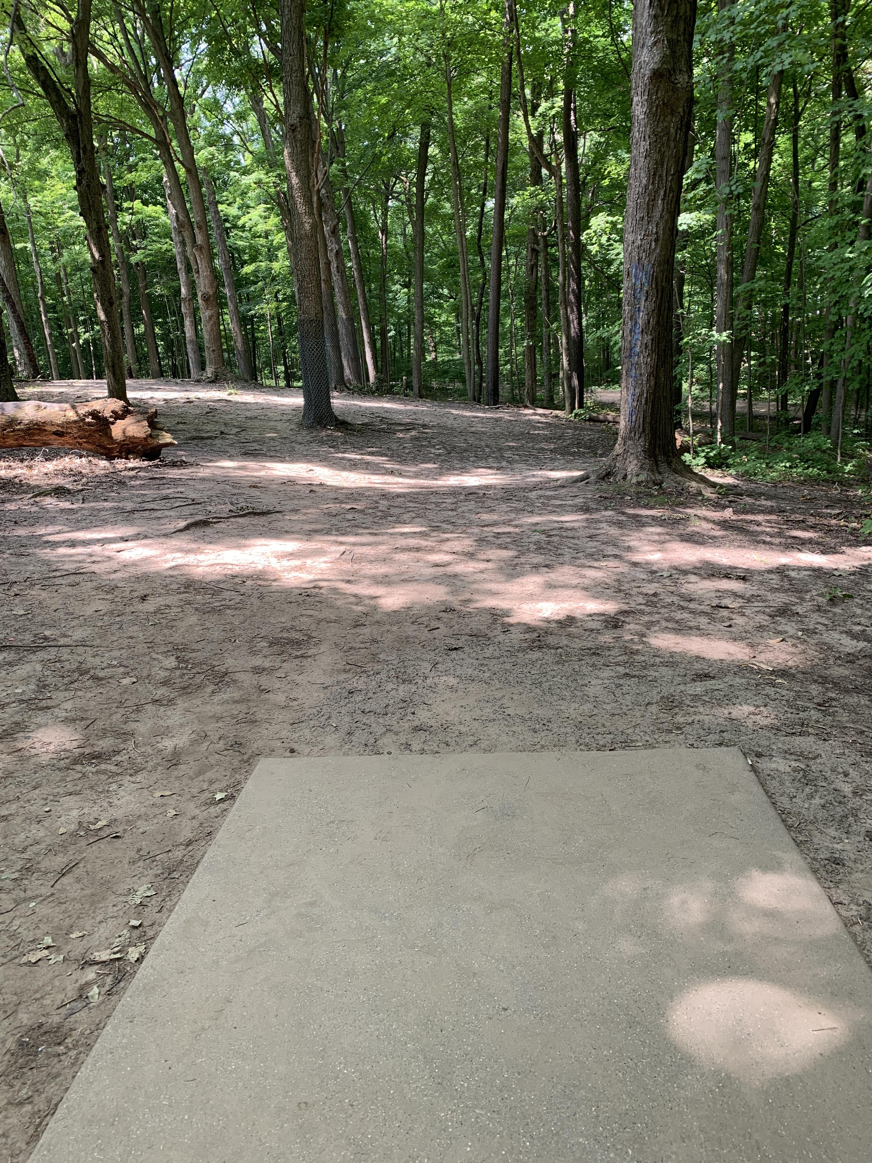 Cass Benton, Northville, Mi r/discgolf