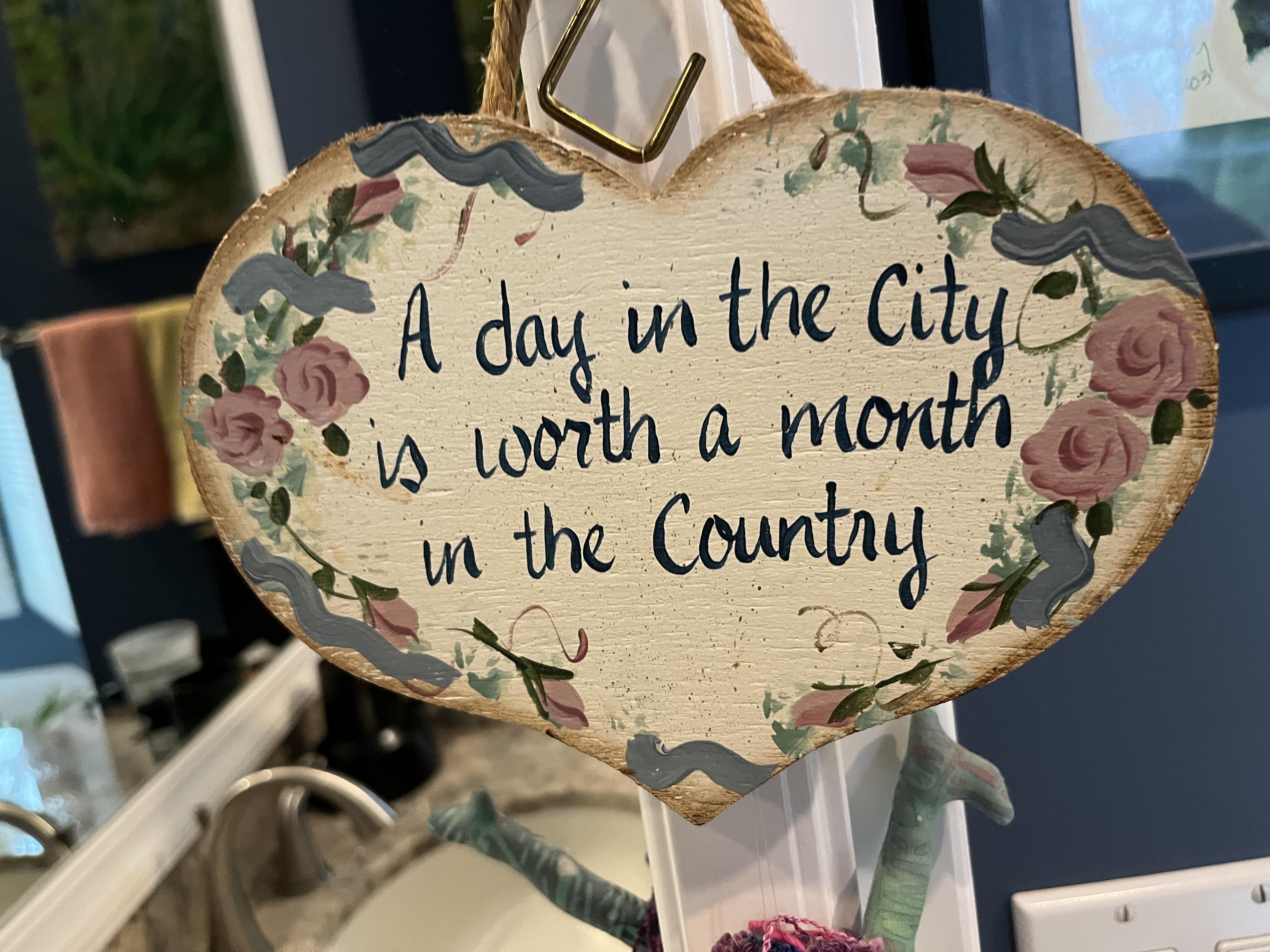 What is this supposed to be coveying? Is it pro city or pro country