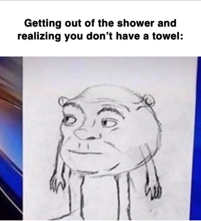 Post shower struggles r/dankmemes