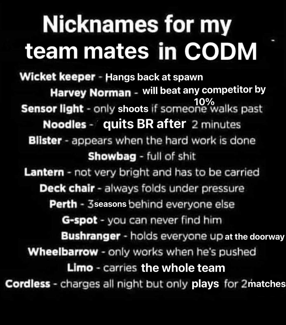 Nicknames for my team mates in CODM [meme template edited] r