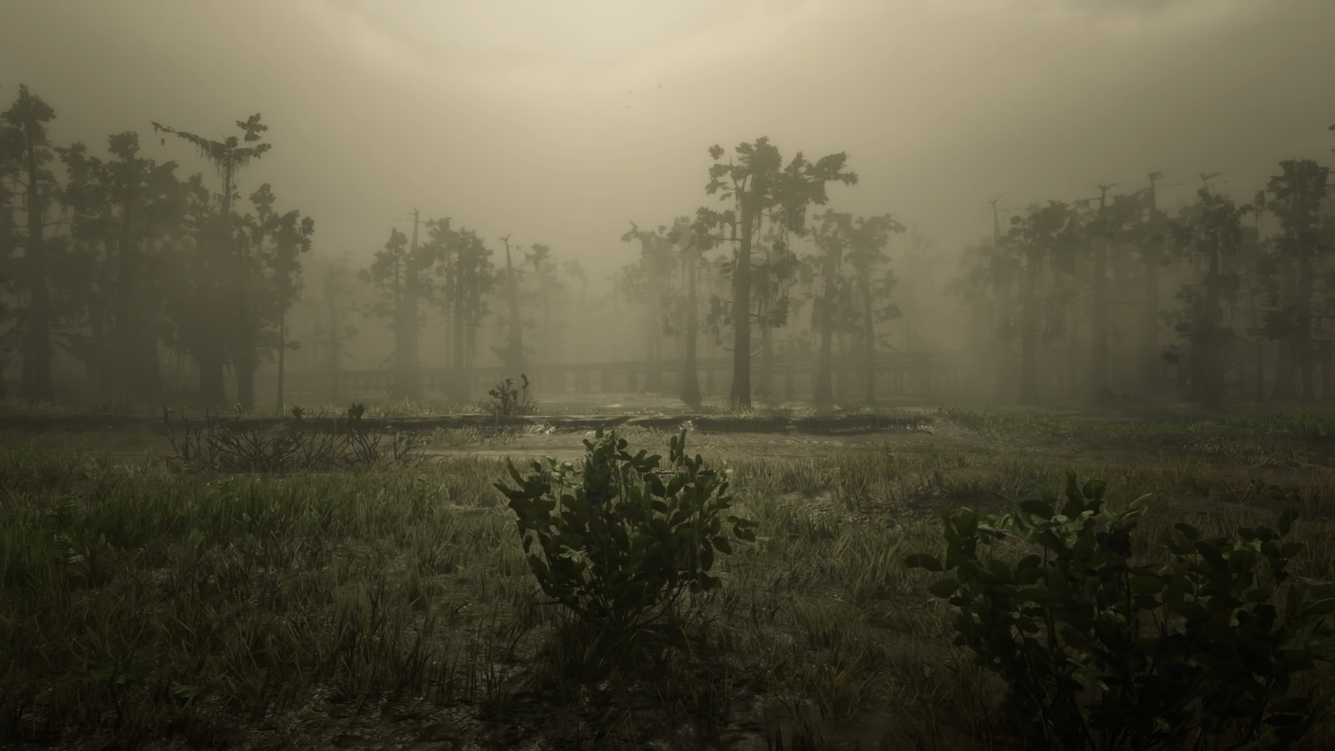 Outside my moonshine shack r/reddeadphotography