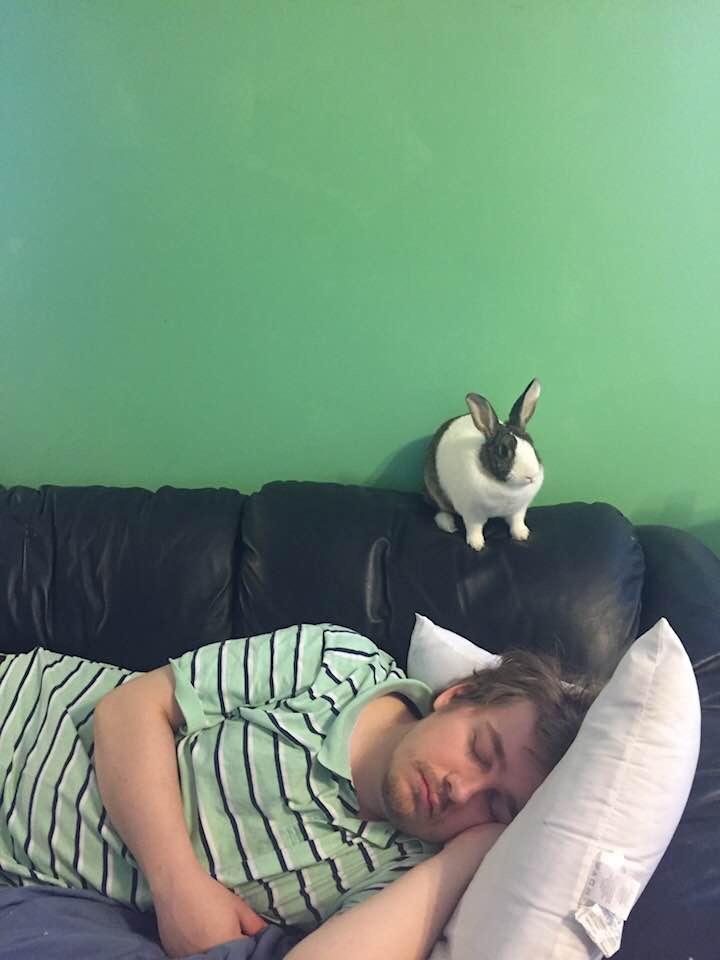 And one else have a guard rabbit or it sleeps next to you? r/Rabbits