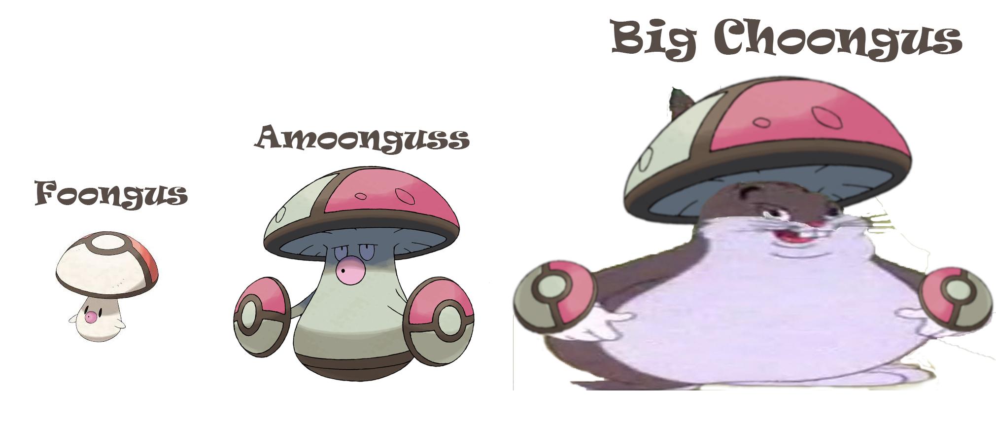 Foongus, Amoonguss, Big Choongus. My favorite three stage pokemon