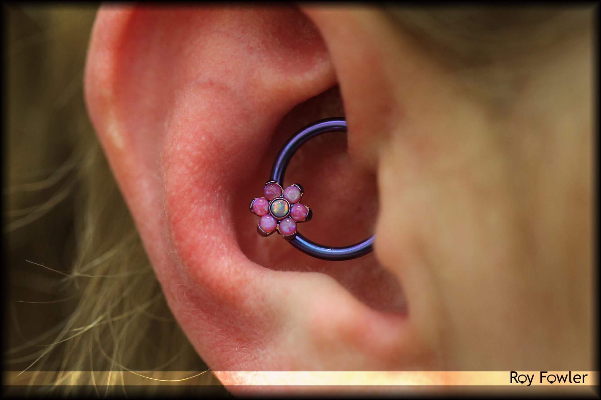 14g daith piercing with ANATOMETAL pink and lavender opal flower