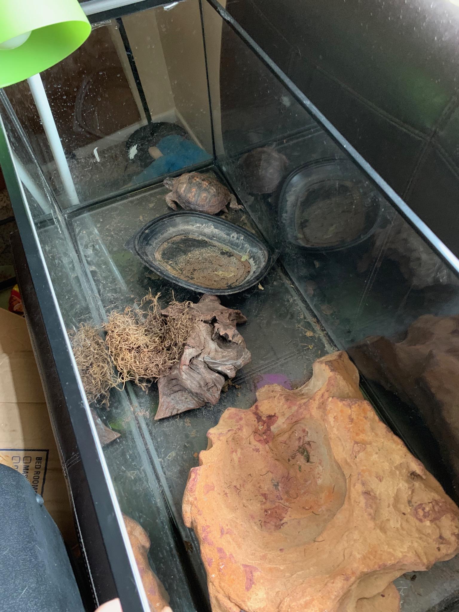 PLEASE HELP. I work at a petstore, and we dont take turtles in, and