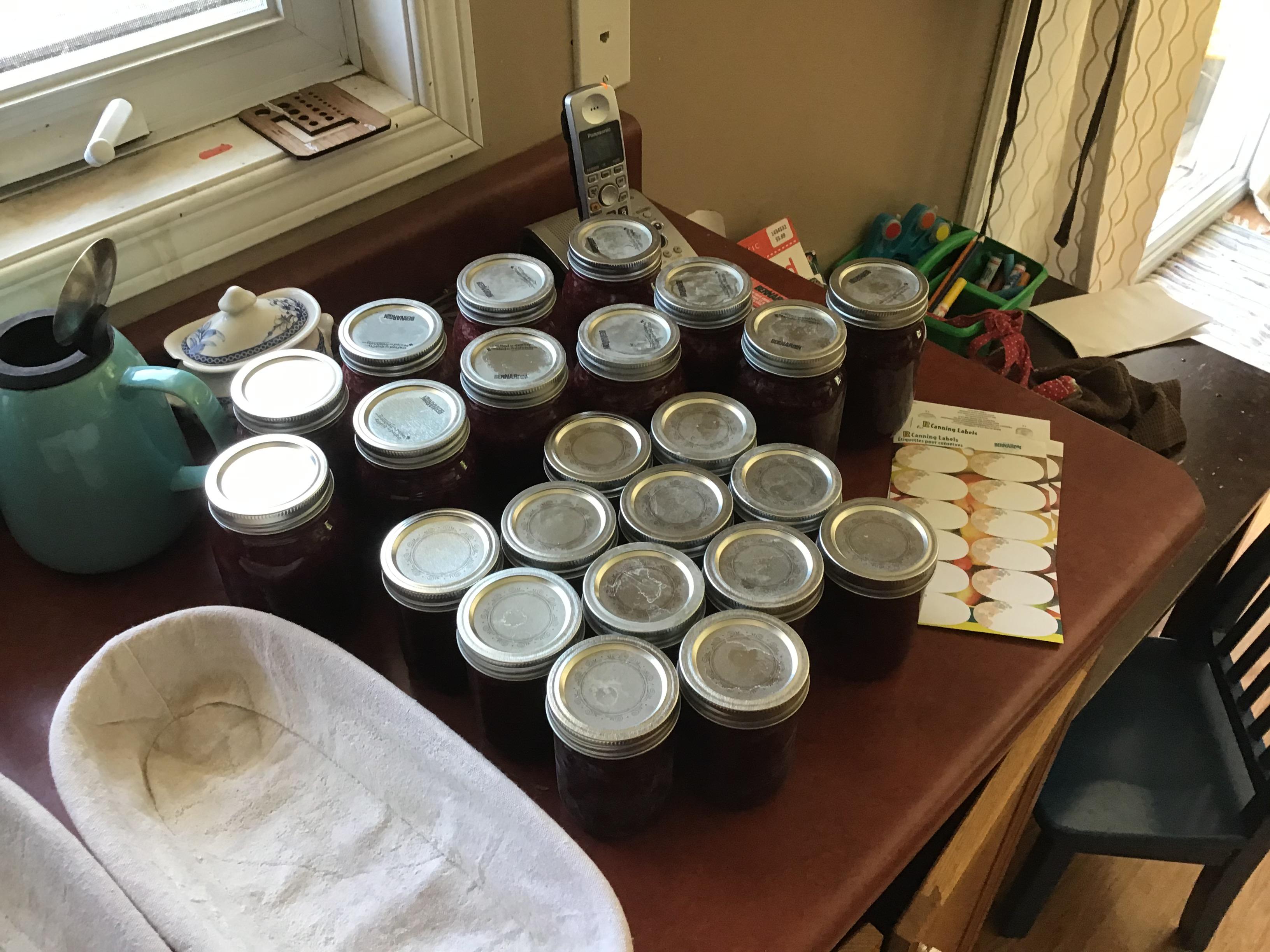 Just finished my first canning in over a decade. All strawberry jam