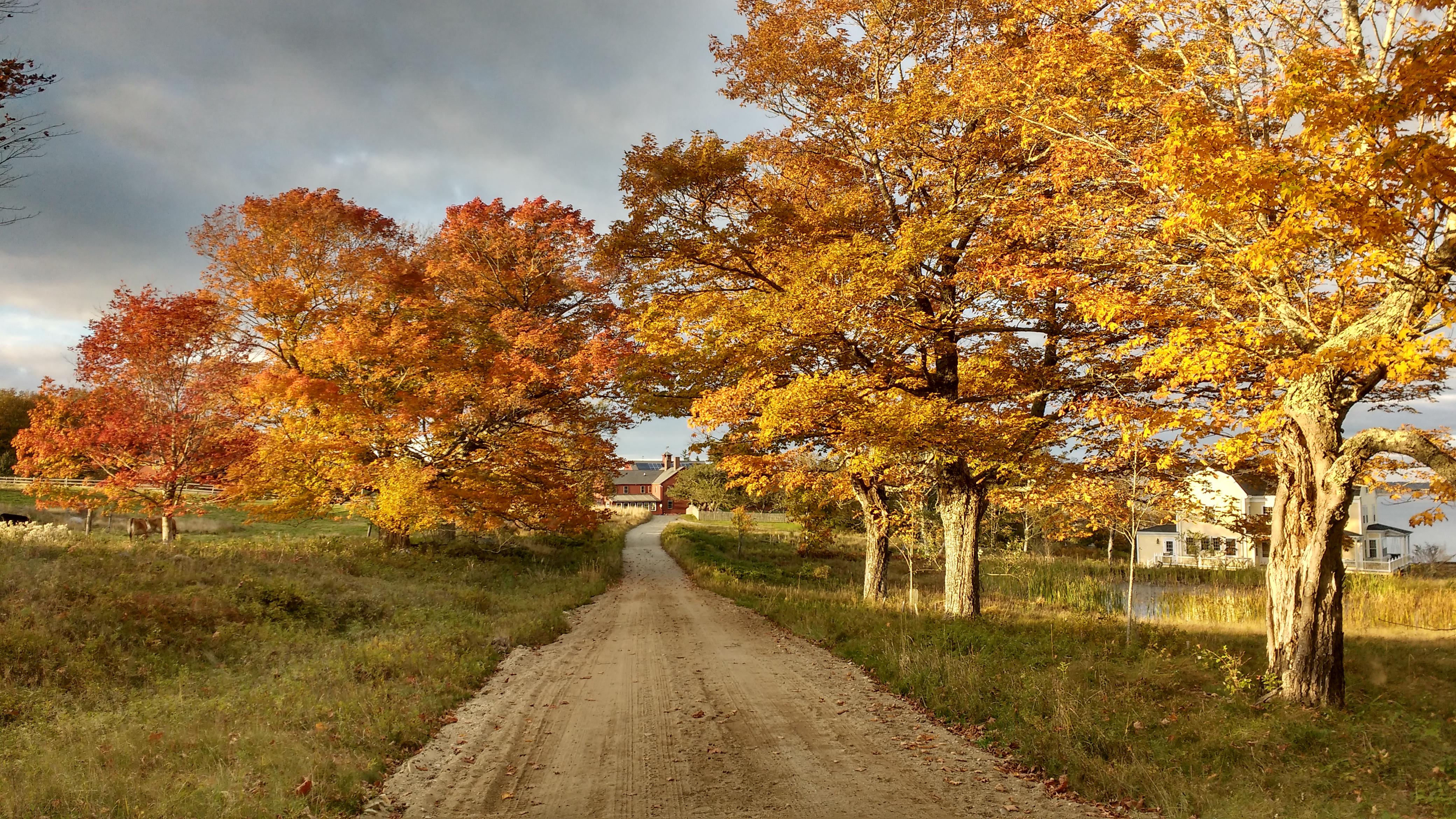 Coastal Farm Eugene Hours Near Me