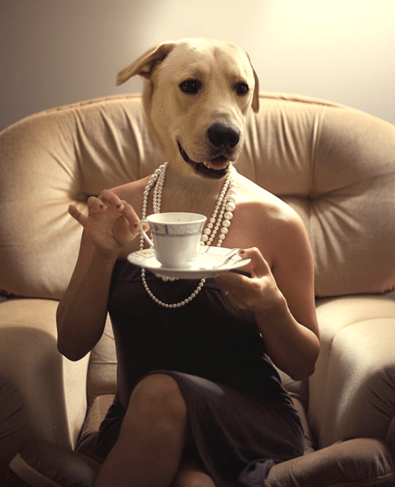 Woman her own dog's head onto her body r/Weird