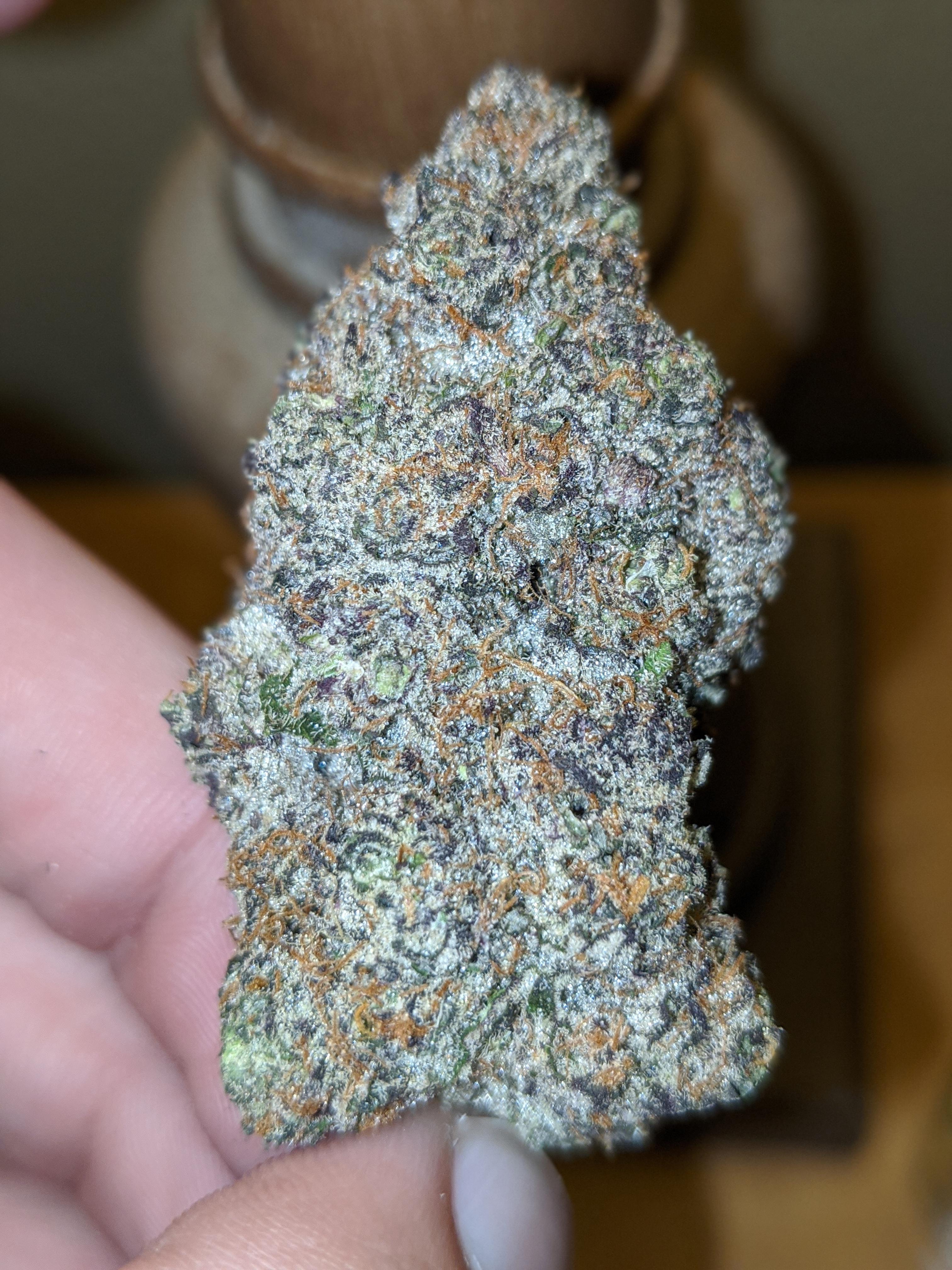 This ITALIAN ICE nug. (Forbidden Fruit x Gelato 45). Backpack Boyz [LA