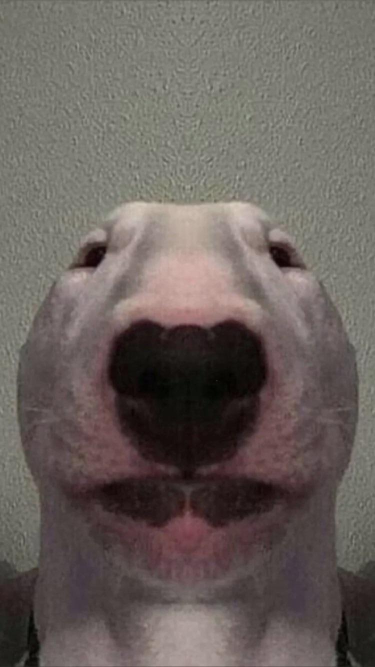 bro i got no jahcoins jahcoin