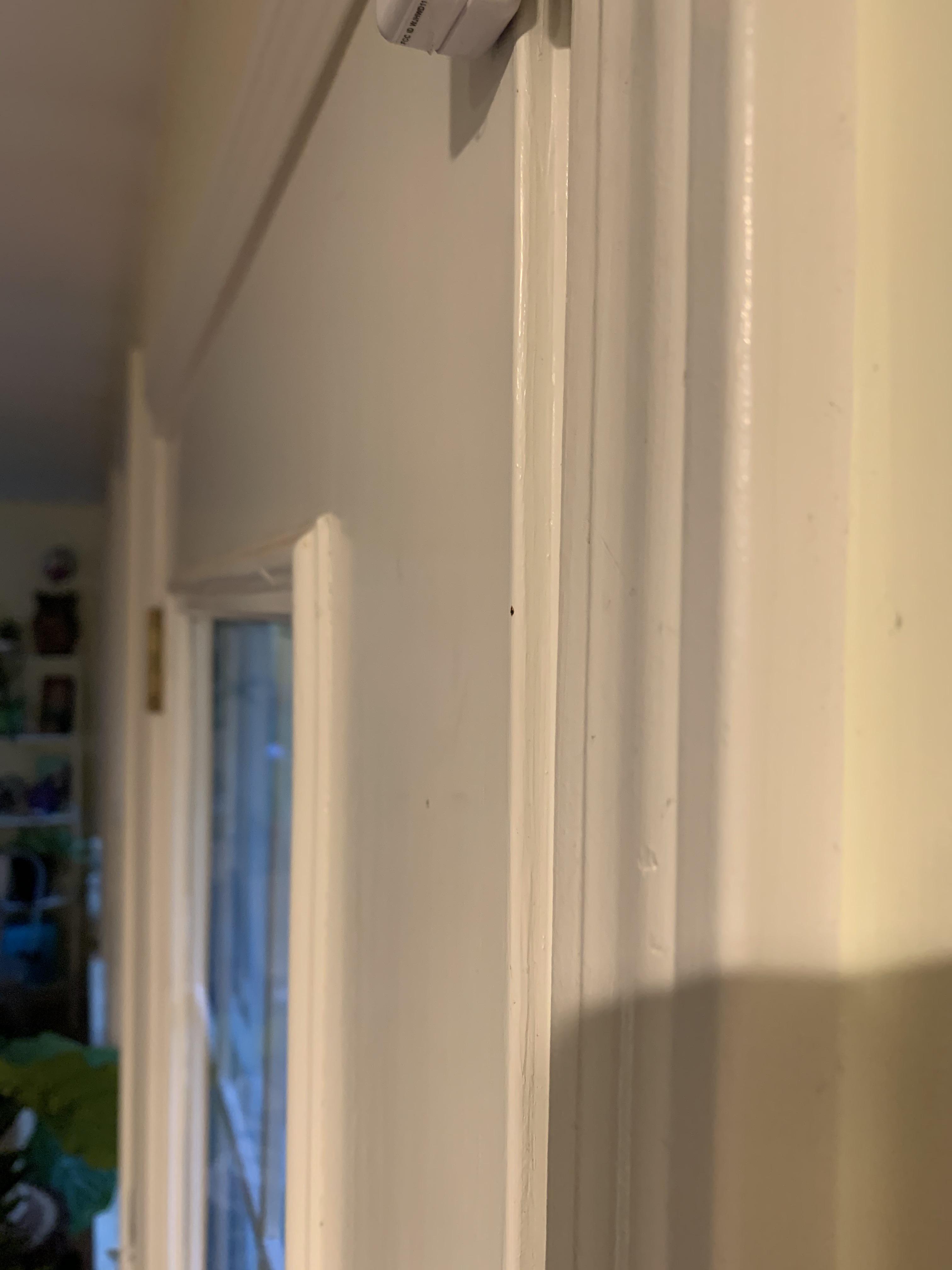 Exterior door has gap at top of the nonhinged side and flush at the