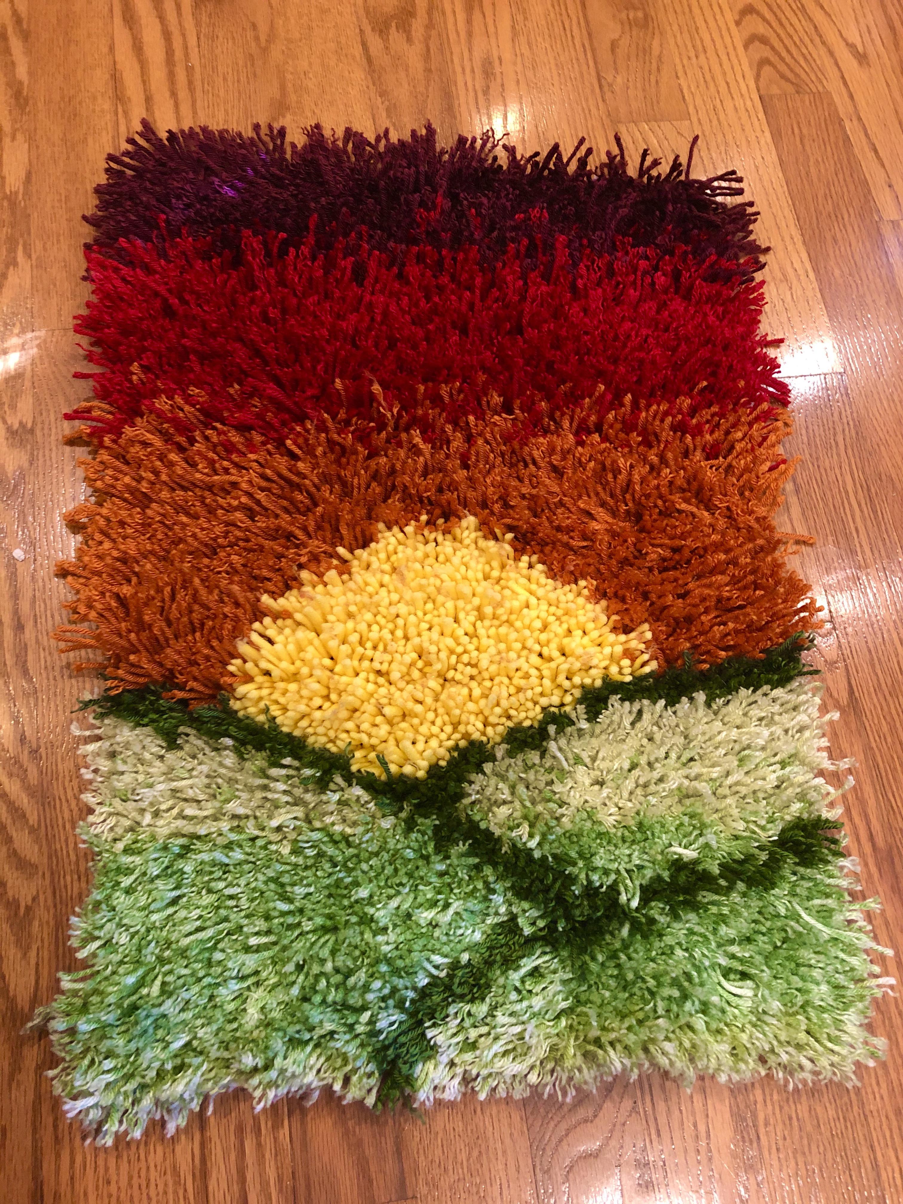 Finally finished my covid rug project of my farm outside of kc. r