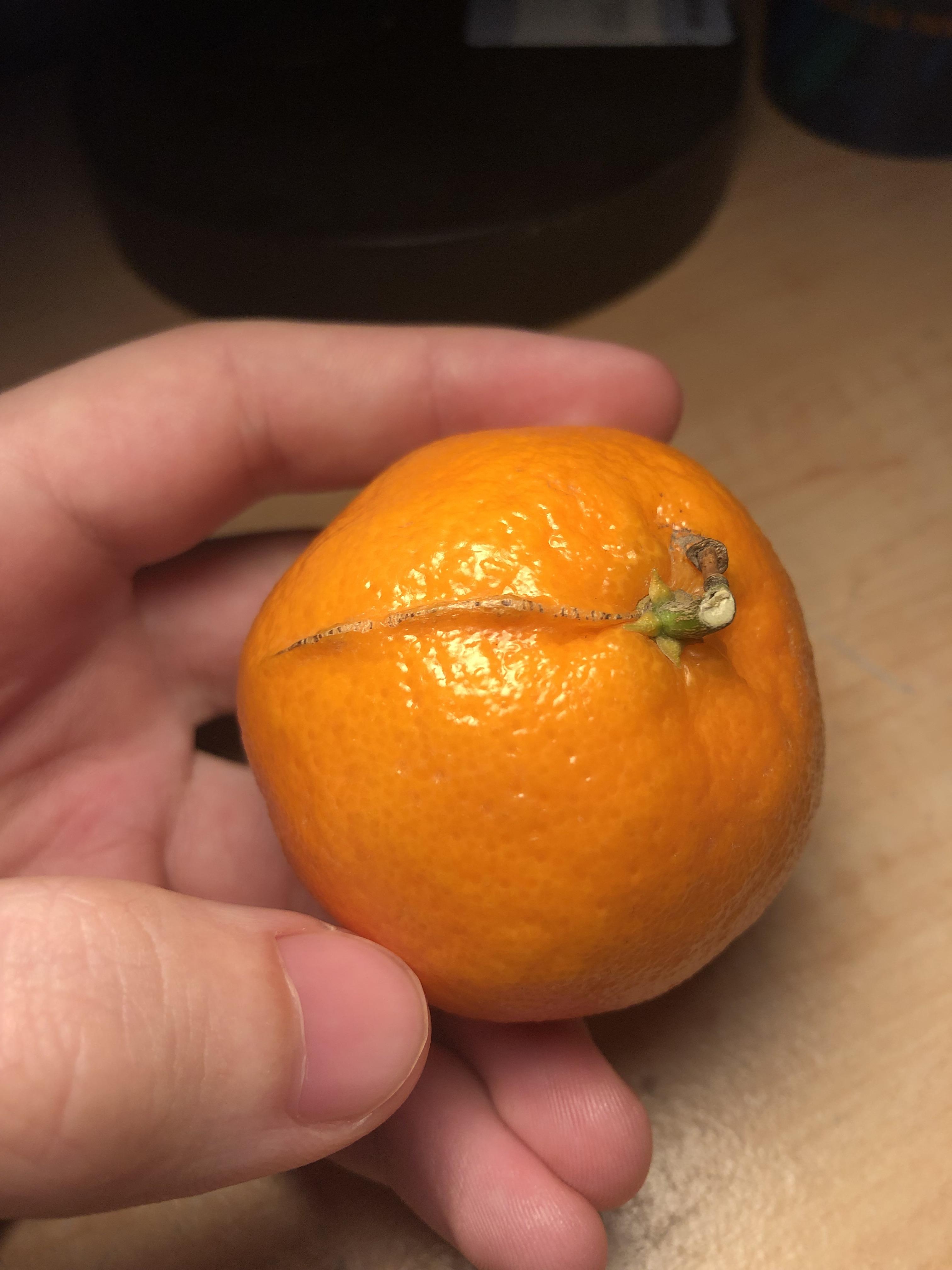 [Urgent] I'm hungry. What is this line on my clementine and is it safe