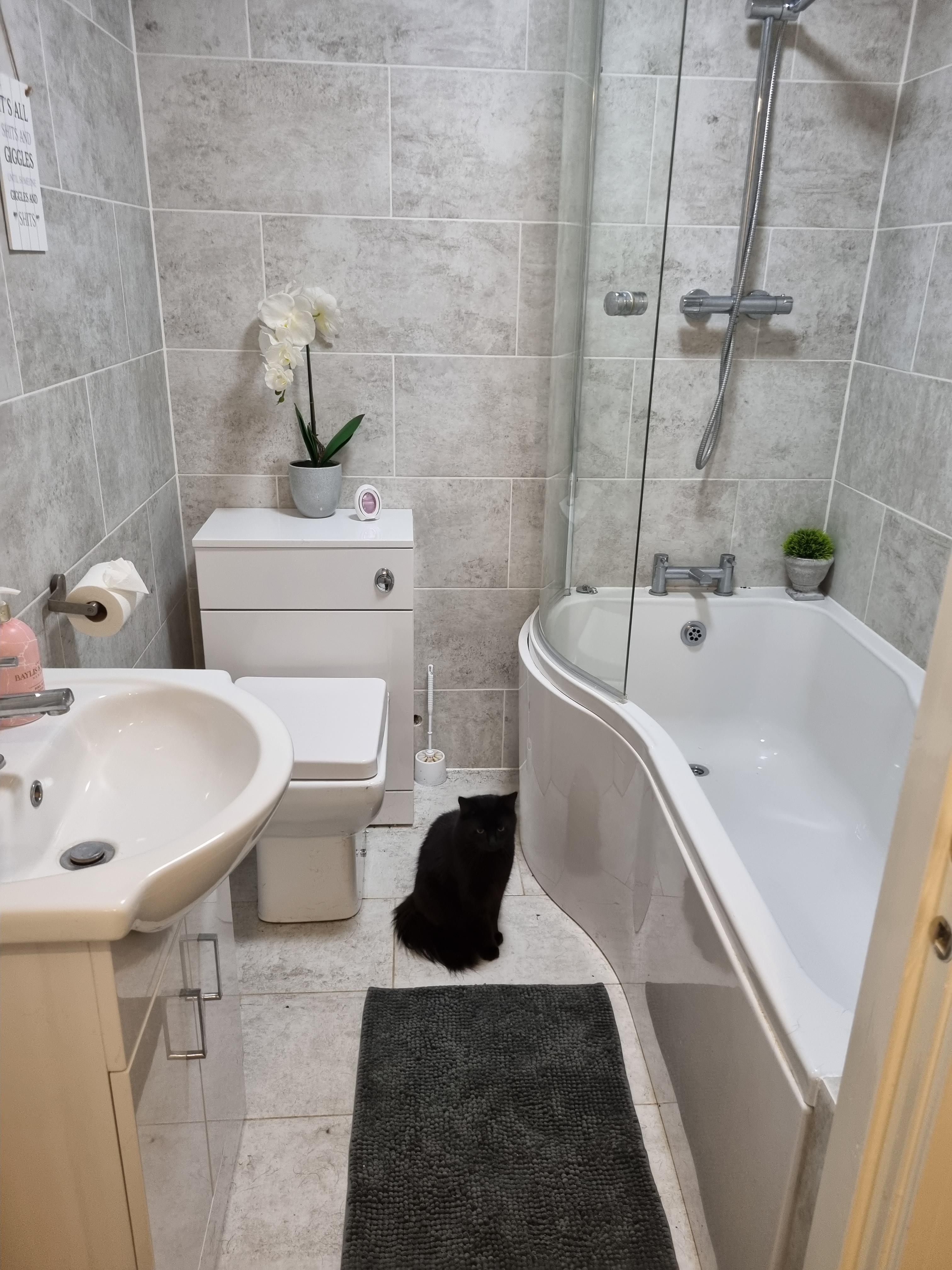 Decided to deep clean my bathroom! I cleaned the pipes, toilet, sink