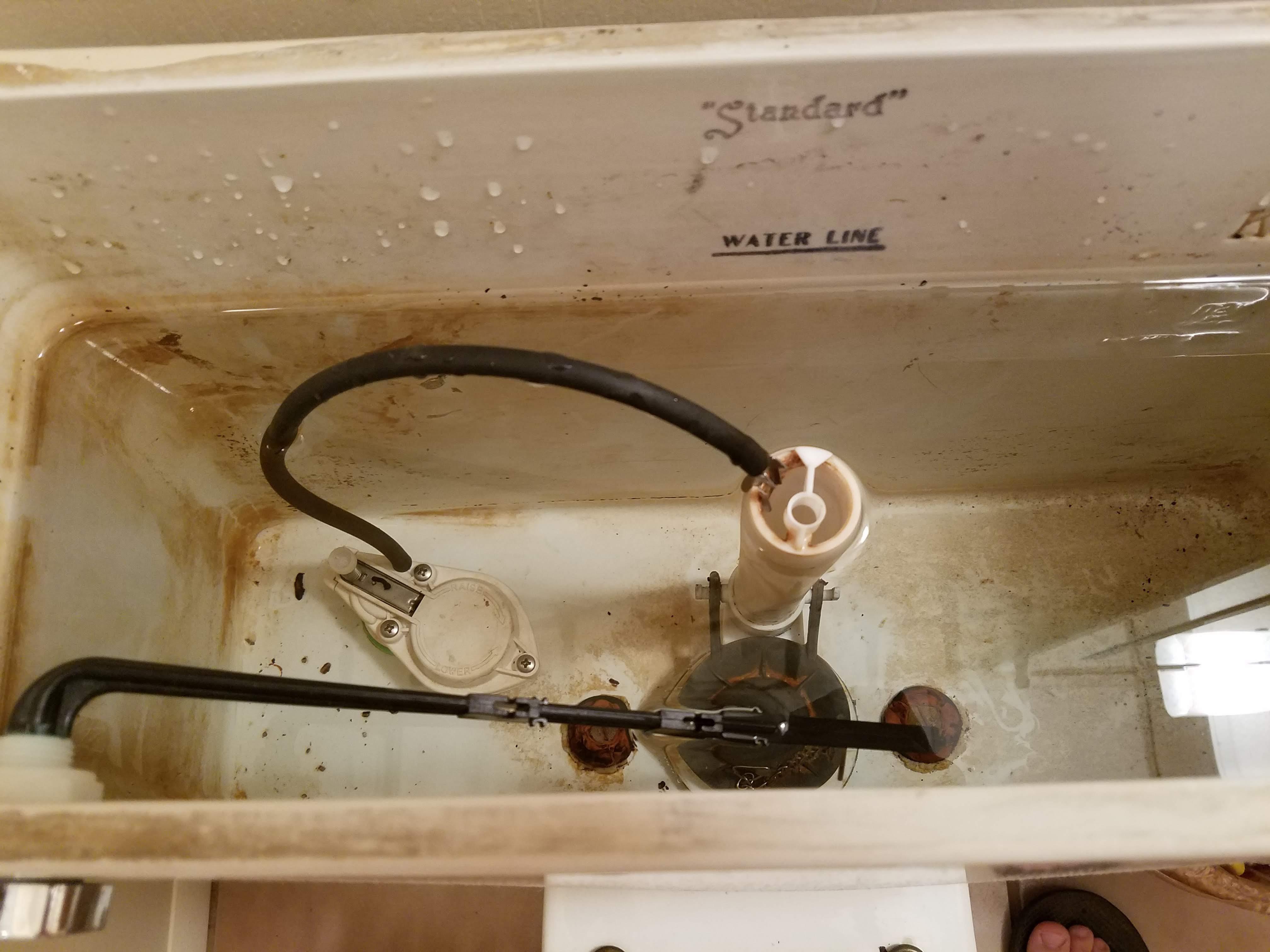 Continuously running toilet. What type of flushing system is this? r