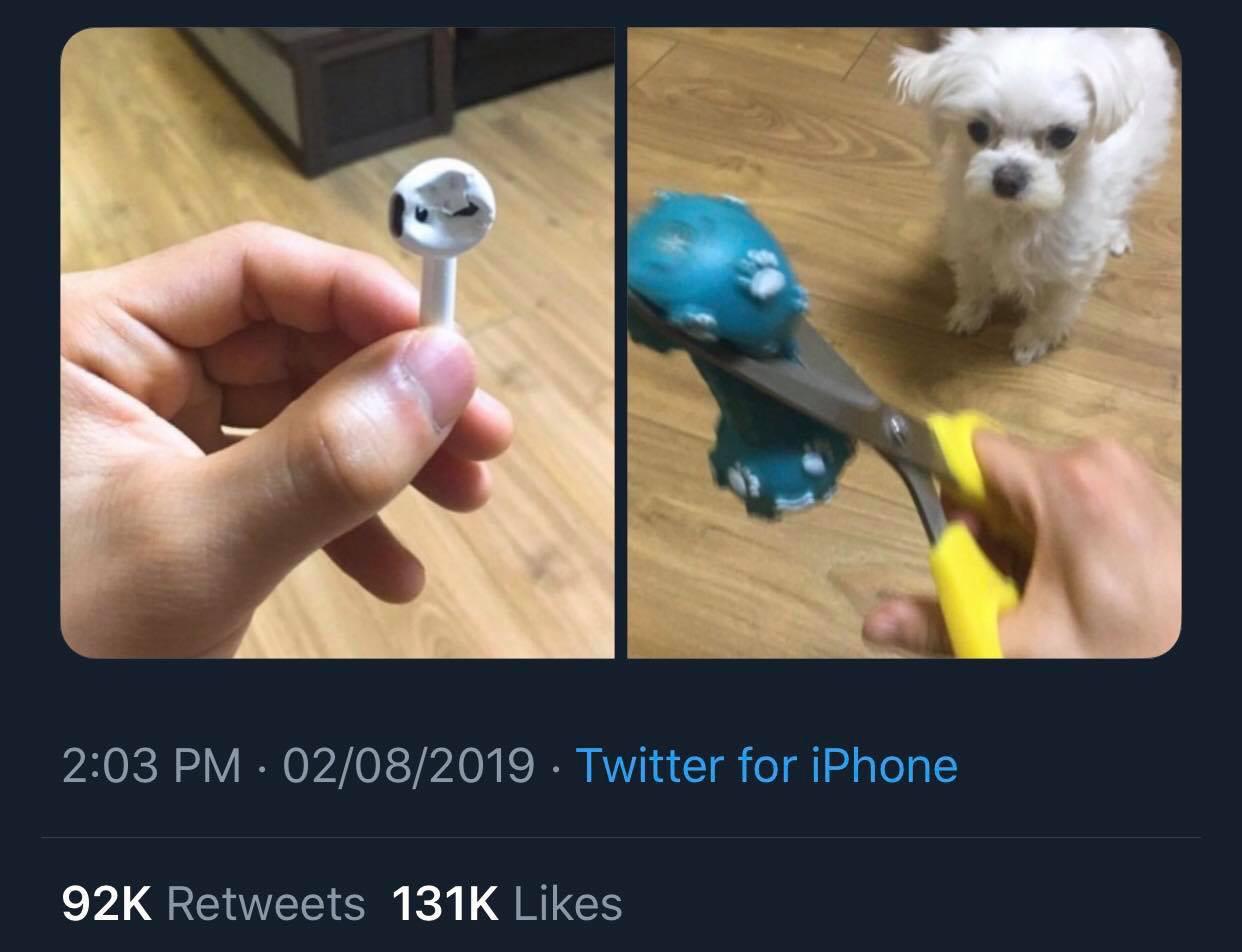 the most expensive chew toys for dogs r/airpods