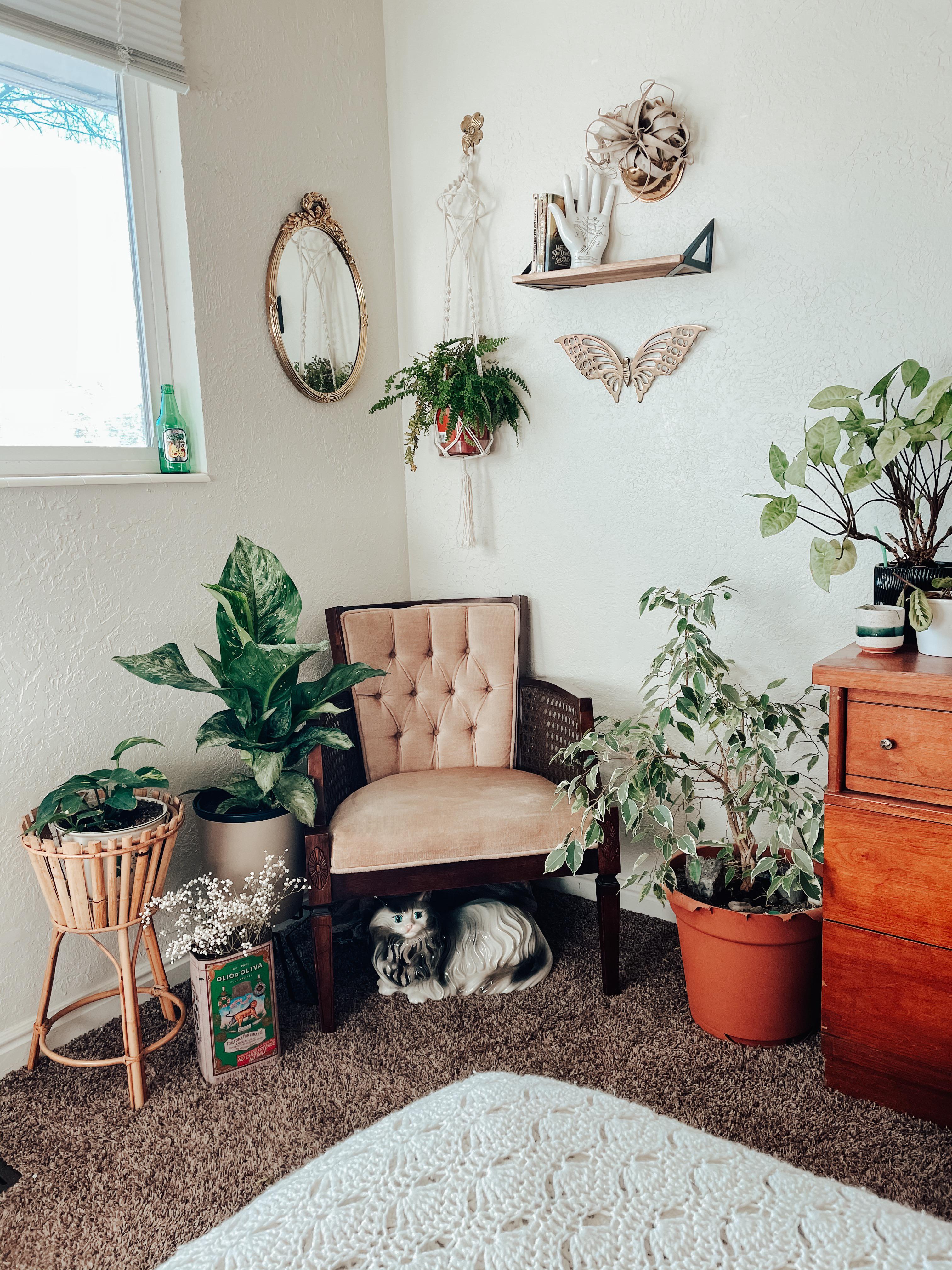 Love having plants in my room! r/houseplants
